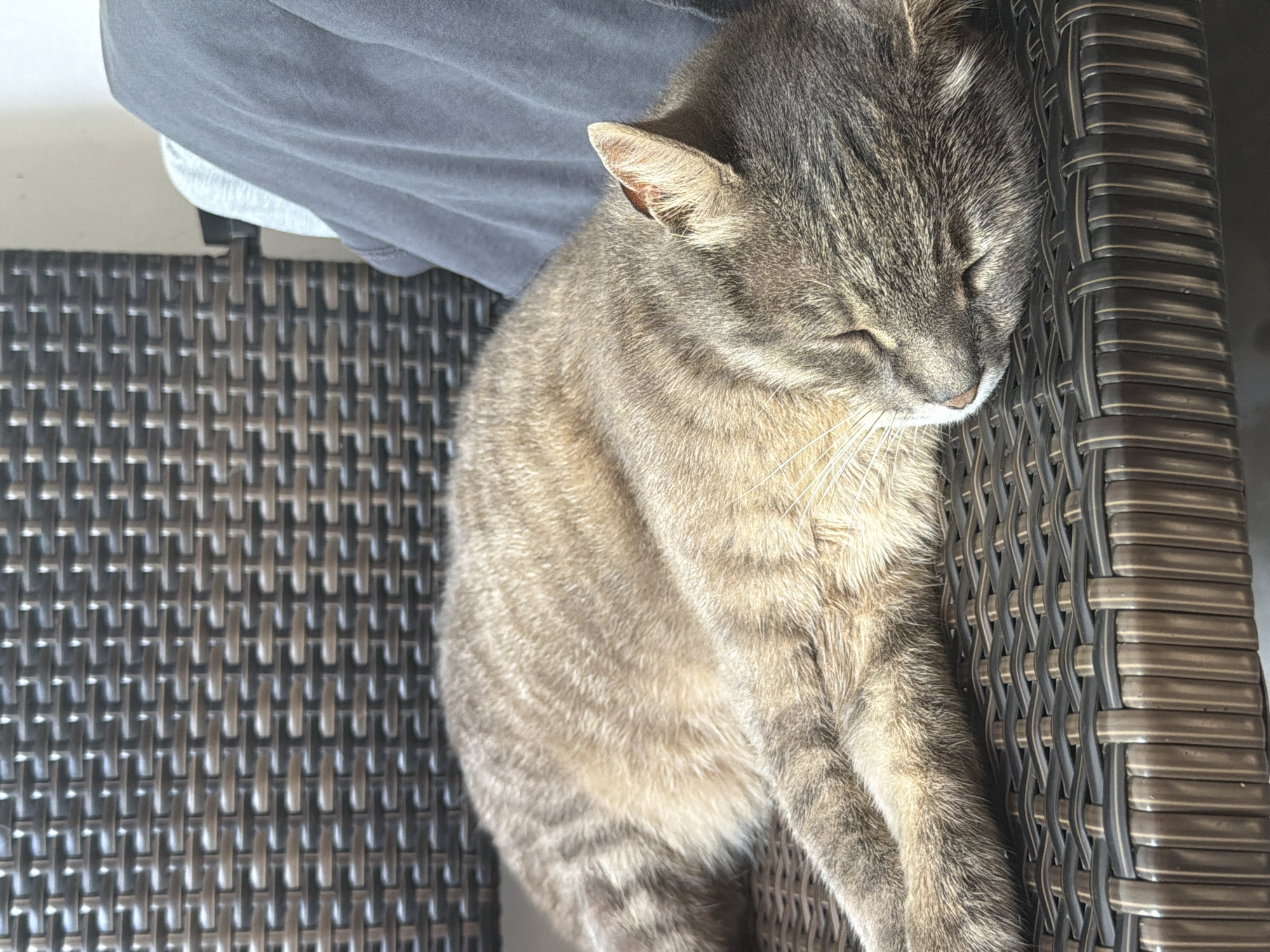 A tabby cat is sleeping on a brown woven chair. The cat is curled up, with its eyes closed and its head resting on its paws. The chair is on a balcony, with a gray blanket draped over the back. The background is blurred, but it appears to be an outdoor setting. The image is taken from a slightly high angle, looking down at the cat.