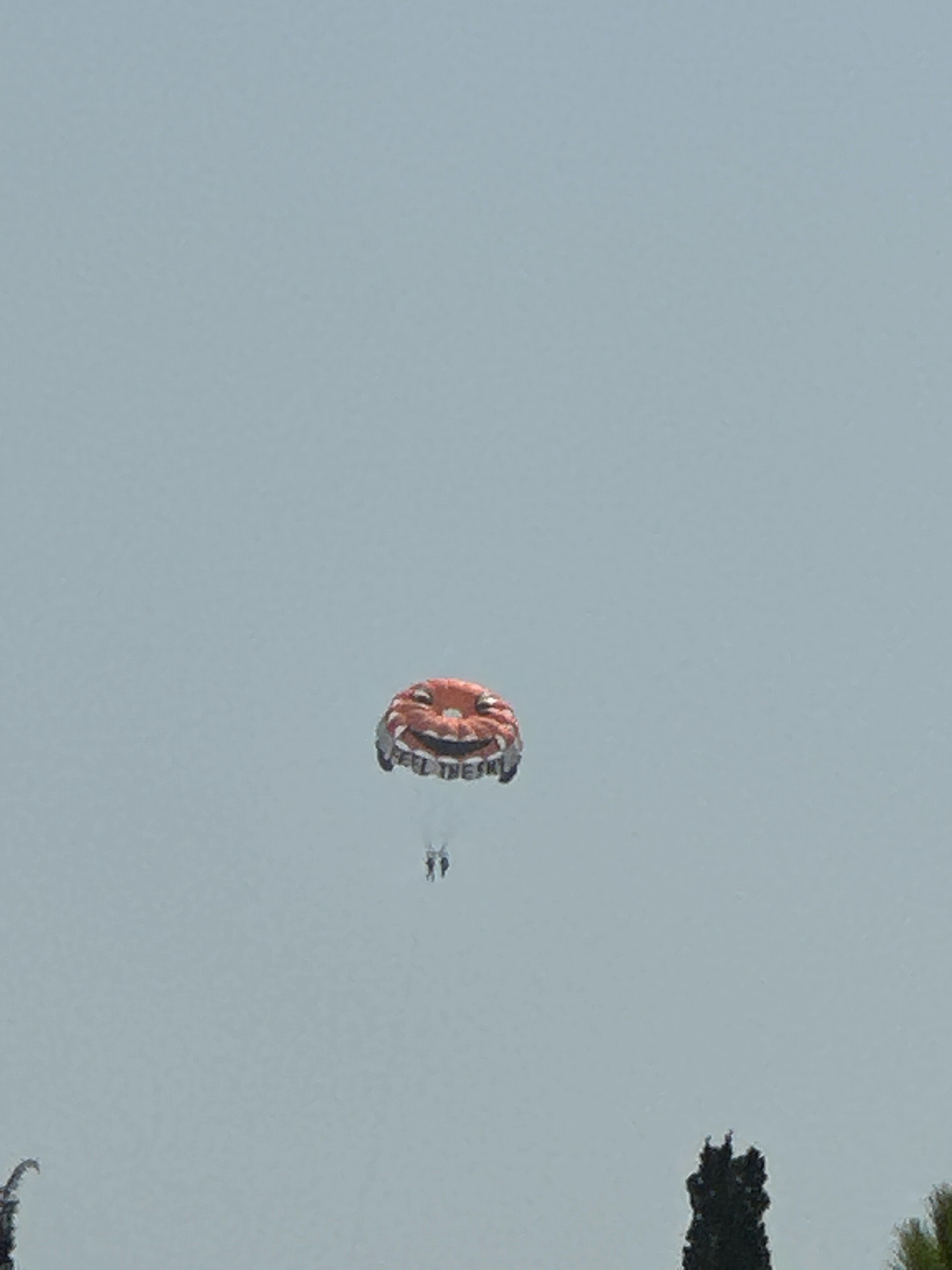 The image shows a parasail in the sky, featuring a design resembling a jack-o'-lantern face. Two people are suspended beneath the parasail. In the foreground, the tops of cypress trees are visible, indicating a coastal or parkland setting. The sky is overcast and a pale gray. The scene appears to be taking place in Budva, Montenegro, a popular tourist destination known for its beaches and recreational activities.