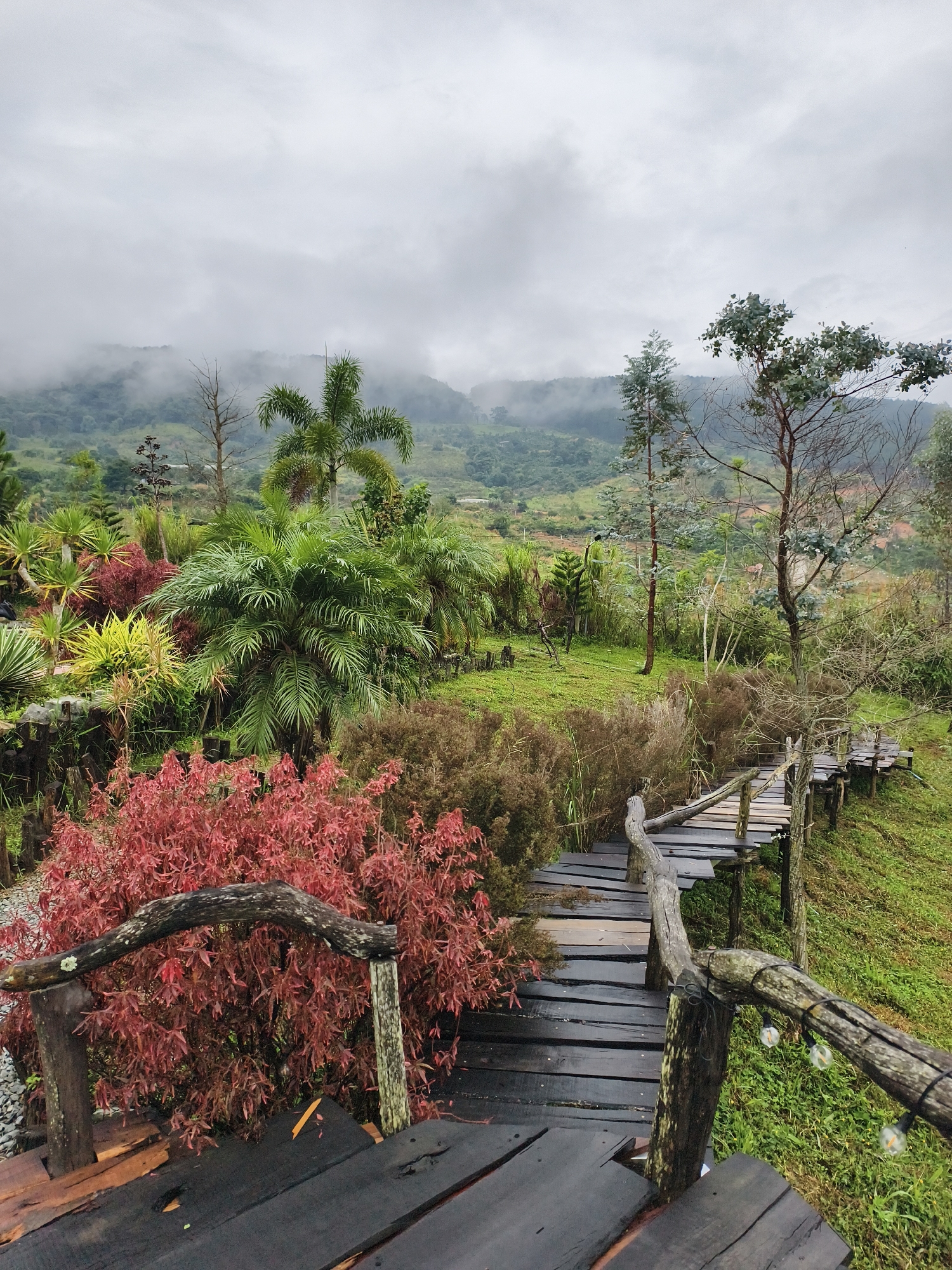 The photograph captures a landscape view in what appears to be the outskirts or a more natural setting near Trung Hà, Vietnam, characterized by elevated terrain and lush vegetation. A winding wooden boardwalk, with rustic wooden handrails, dominates the foreground and leads downhill, disappearing into the foliage. The boardwalk appears damp, possibly from recent rain. Red and green plants and shrubs flank the walkway. The middle ground reveals a verdant hillside dotted with trees, including palm trees. In the background, the mountains are shrouded in mist or low-hanging clouds. The sky is overcast. There are no people visible. The scene evokes a sense of natural beauty and serenity.
