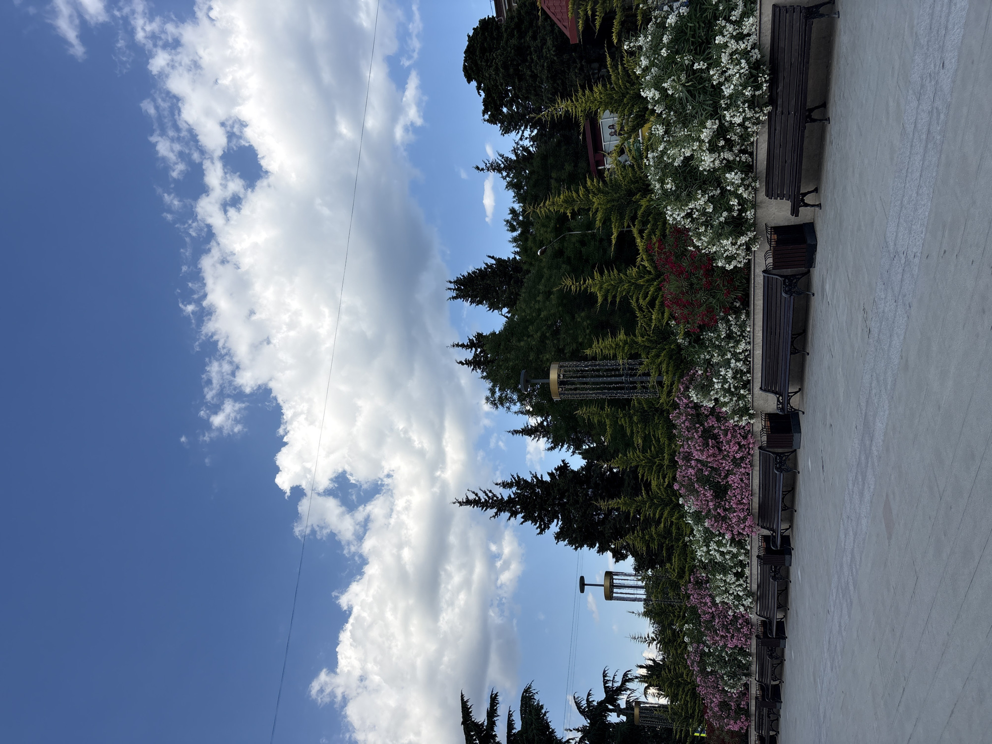 The image depicts a row of dark wooden benches facing a garden with lush greenery and blooming flowers. Tall evergreen trees form a backdrop, with a few smaller, decorative evergreen trees in the foreground. The garden is lined with a low wall, and behind it, parts of buildings and streetlights are visible. The sky above is a vibrant blue, dotted with fluffy white clouds. A power line is visible stretching across the sky. The scene appears to be a public park or promenade. The location is identified as Alushta, Ukraine.