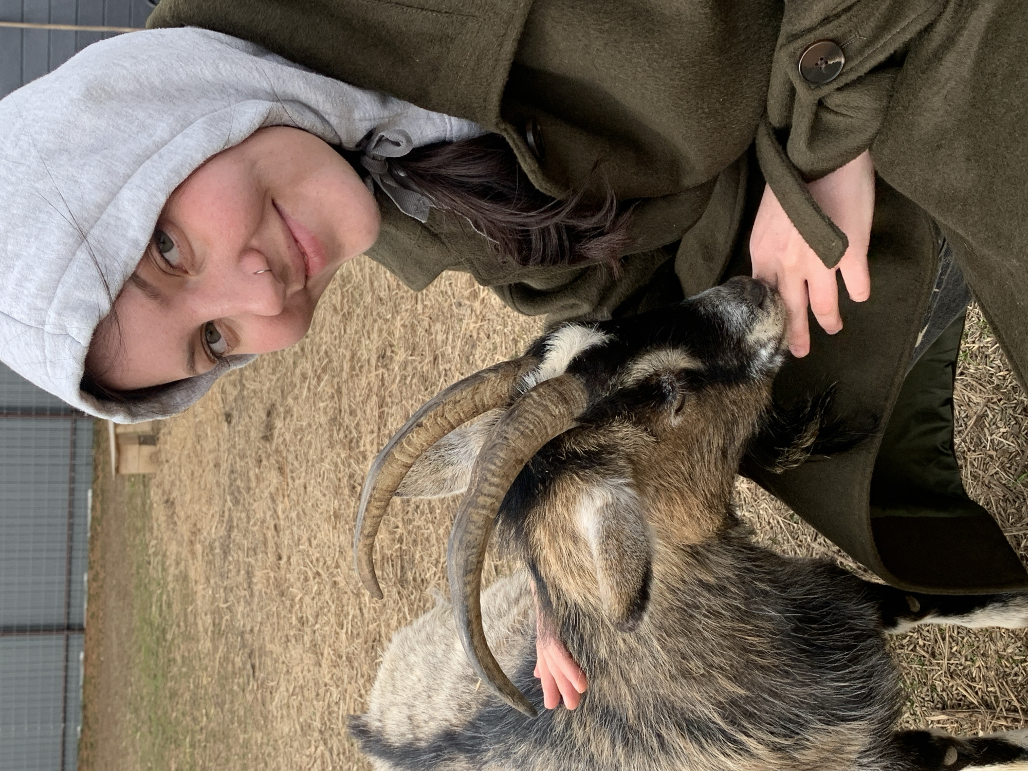 A woman in a grey hoodie and olive green coat stands beside a goat. The goat has a brown and black patterned coat, with white markings on its head and legs, and is touching its nose to the woman's hand. The background is brown grass and earth, and a gray metal fence is visible in the distance. The scene is shot outdoors in daytime. It's impossible to identify the city from this image.