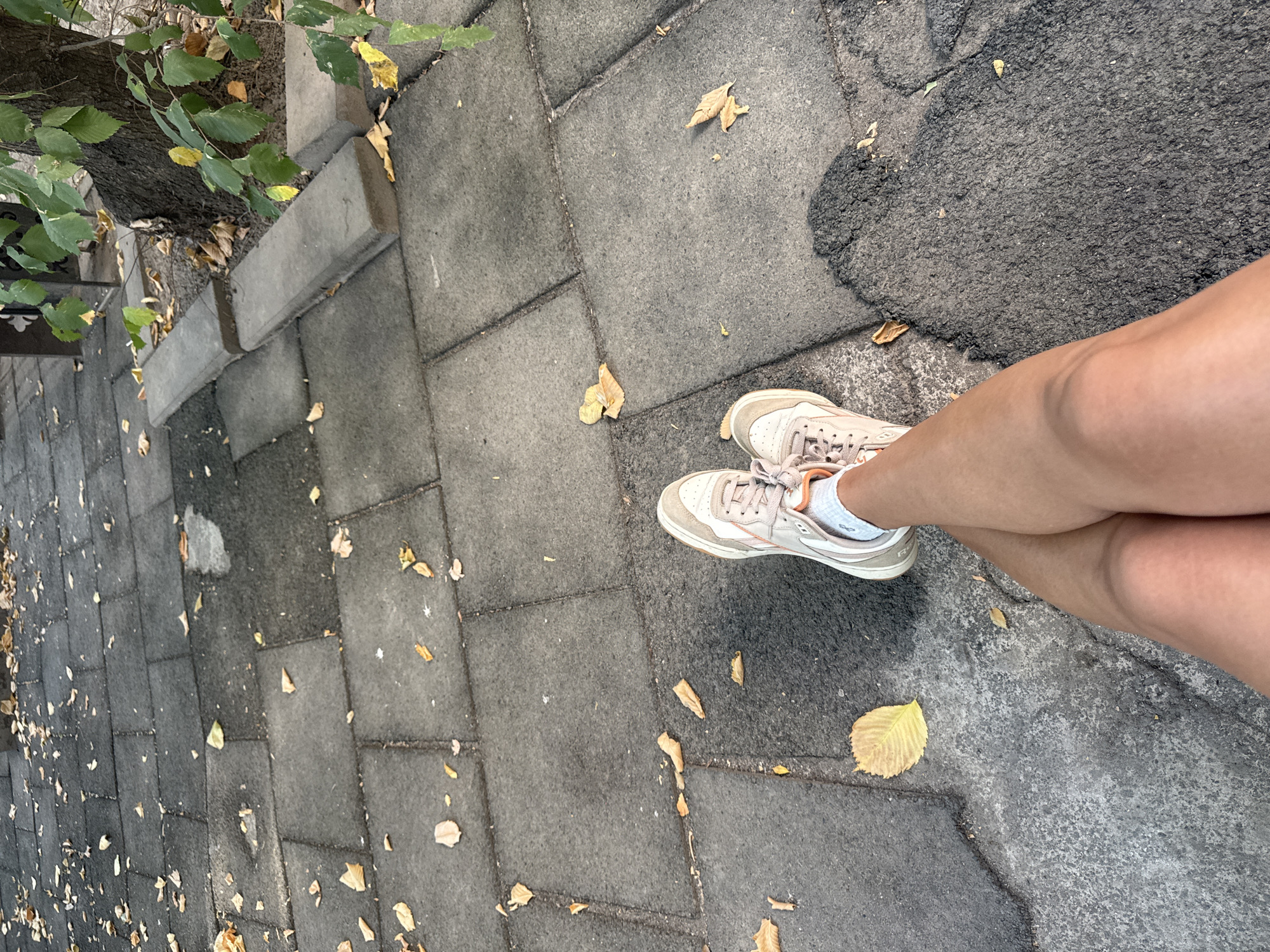 A pair of legs, wearing light-colored sneakers and socks, are crossed at the ankles. The legs are resting on a dark, textured surface composed of large, square paving stones, some of which are slightly uneven. Scattered across the paving stones are fallen leaves, predominantly yellow and brown, indicating an autumn season. To the right of the legs, a tree trunk is visible, with green and yellow leaves on its branches. A low, grey concrete border runs along the base of the tree. The overall scene suggests an outdoor environment, possibly a park or a public walkway in Almaty, Kazakhstan, given the presence of autumn foliage and urban landscaping elements.