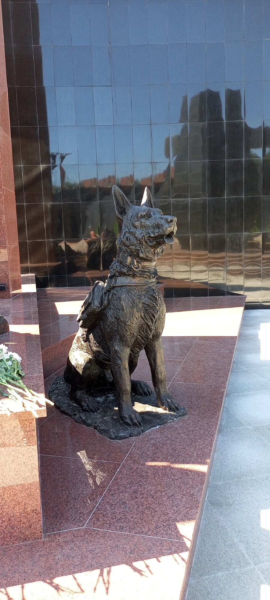 A bronze statue of a German Shepherd dog sits on a granite base in front of a reflective black glass wall. The dog is facing to the right, with its mouth slightly open and ears perked. It is wearing a collar and a harness with a pack. The granite base is red and speckled with black. In the background, the black glass wall reflects a cross-shaped structure and a blurry image of people. To the left of the statue, a bunch of white flowers is placed on the granite. The ground in front of the base is tiled with light-colored square tiles. The scene is illuminated by sunlight, casting shadows on the ground and the base. This is a memorial to a service dog, likely located in Khabarovsk, Russia, given the context provided.