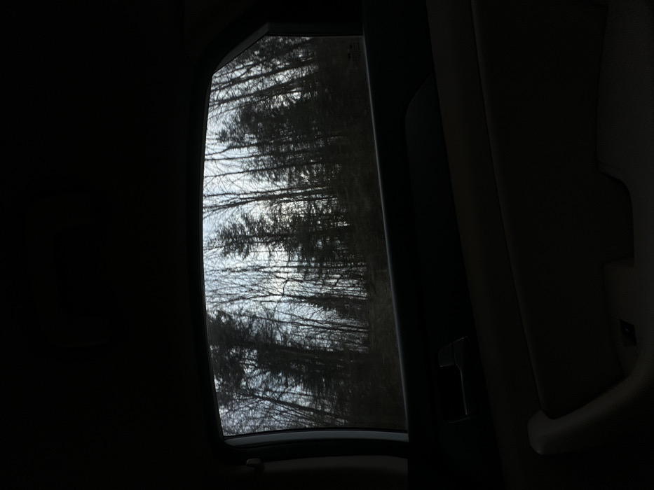 The image depicts a view from inside a vehicle, looking out a passenger-side window into a dense forest. The location is a forested area within or immediately surrounding Skole, Ukraine.
The exterior scene, framed by the dark interior of the vehicle, features numerous tall trees, primarily deciduous with bare branches and some darker coniferous trees, indicative of late autumn, winter, or early spring. The ground beneath the trees appears uneven and covered with dark vegetation or soil, sloping upwards from left to right. A bright, overcast sky is visible through gaps in the tree canopy.
The interior of the vehicle is dark. The top portion of the image shows the dark headliner, and the lower portion displays the two-tone vehicle door panel: a dark upper section and a lighter, neutral-colored lower section. A dark-colored door handle and a dark rectangular window control switch are visible on the lower door panel. No individuals, animals, or specific actions are discernible within the frame.