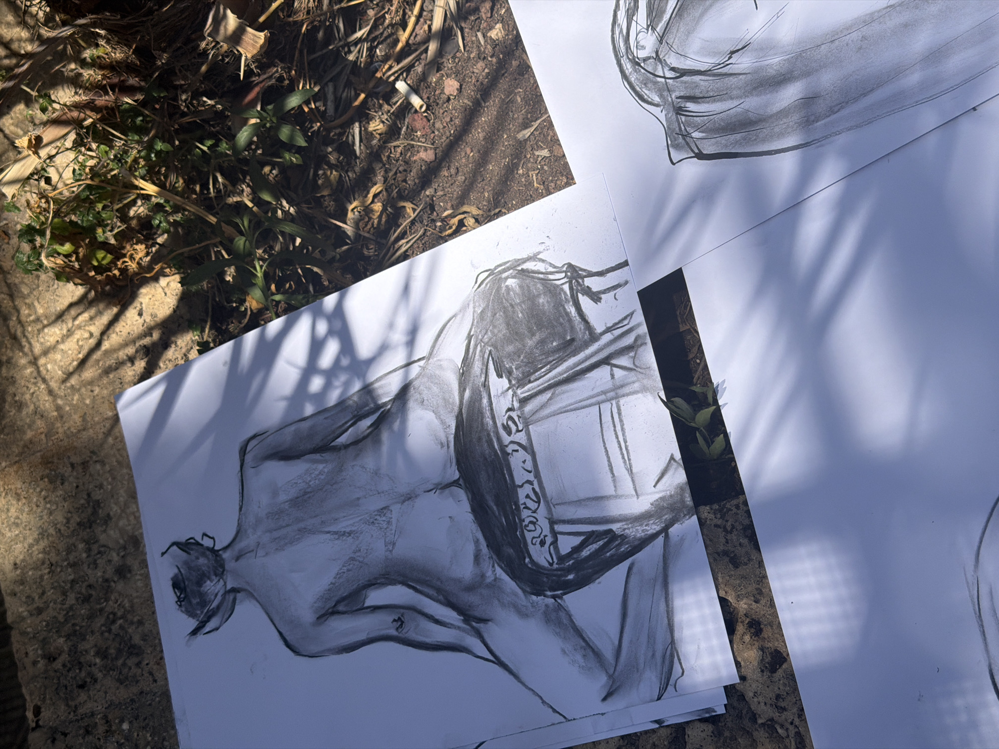 The image shows several charcoal sketches of a figure, laid out on the ground. The primary sketch, positioned prominently, depicts a nude figure from behind, seated on a stool. The figure's back, buttocks, and legs are visible. The sketch is rendered with varying charcoal tones, suggesting light and shadow. The stool itself is also drawn, showing decorative elements. The sketches are on large sheets of paper.
The background consists of dry ground with sparse vegetation and shadows cast by what appear to be tree branches, indicating an outdoor setting. The lighting suggests it is daytime, with strong sunlight. The ground appears to be a mix of soil, small stones, and dried organic matter.
There are no visible people in the immediate vicinity of the sketches. The overall impression is of an artist's work in progress, or perhaps a display of sketches outdoors.
The location is Tel-Aviv, Israel. Given the outdoor setting with visible vegetation and sunlight, it could be a park, a courtyard, a garden, or a similar outdoor public or private space in the city.