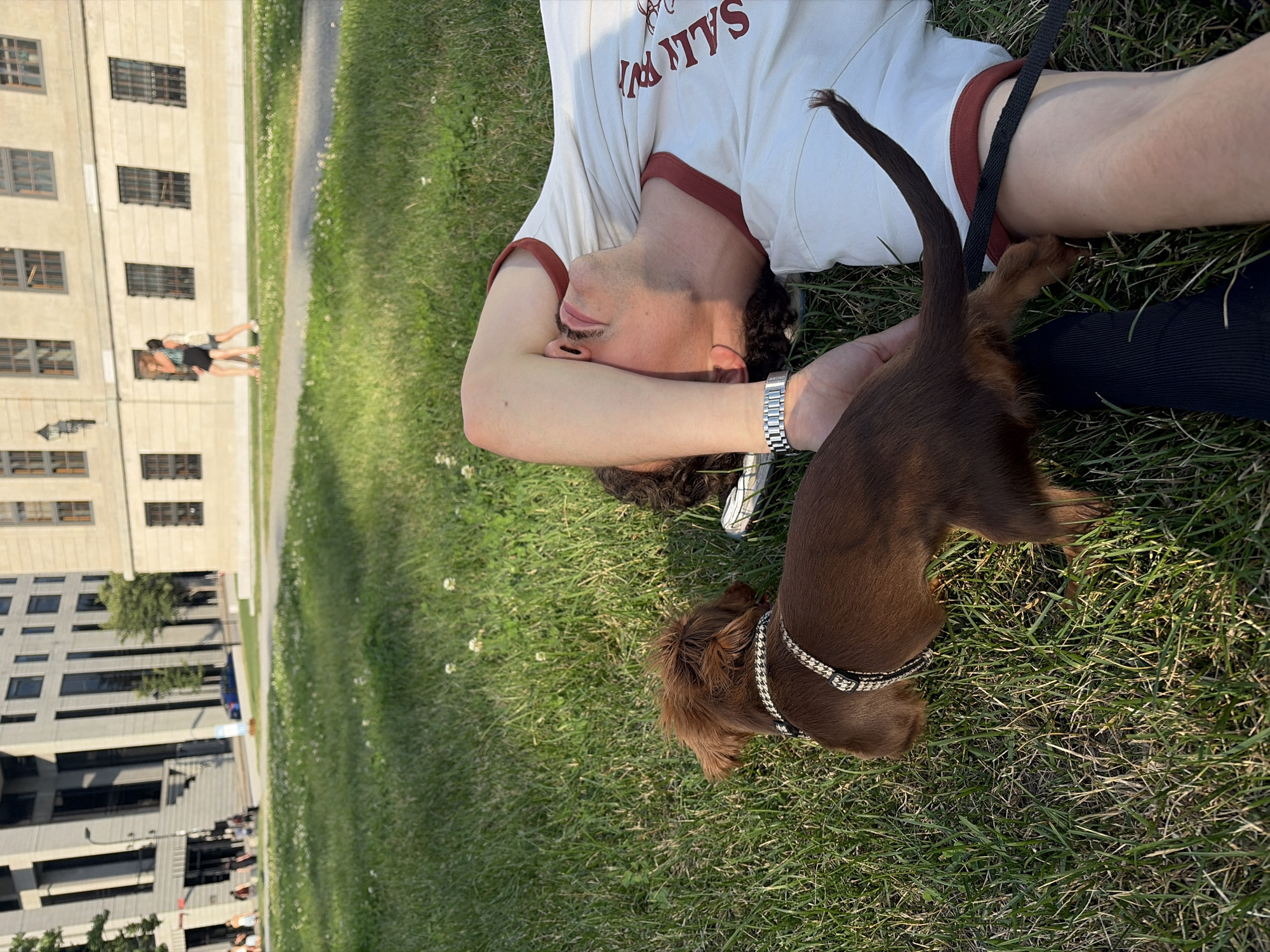 A young man is lying on the grass in an urban park, with his arm covering his eyes. A small, brown dachshund is sitting next to him, facing away from the camera. The man is wearing a white t-shirt with red trim and a silver watch. The dog is wearing a black and white patterned harness. In the background, there are large, modern buildings and two people walking. The scene appears to be in a park located on the McGill University campus in Montreal, Canada, specifically on the lower campus in front of the Le James Building and the Strathcona Building. The time of day is late afternoon, as indicated by the warm lighting and long shadows.