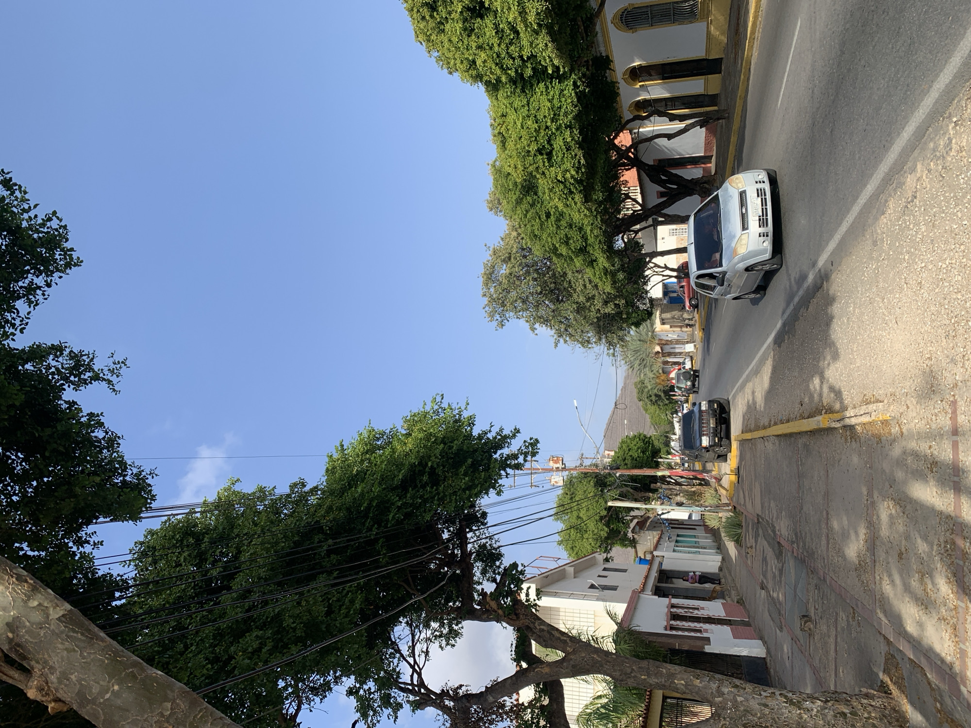 This image depicts a sunny street scene in Tacarigua, Venezuela. The bright blue sky, with only a few faint clouds, dominates the upper portion of the frame. Large, verdant trees with dense foliage line both sides of the asphalt road, casting shadows that suggest it is daytime. Numerous power lines and utility cables are strung between the trees and along poles, particularly prominent on the left side of the street.
On the right side of the road, several buildings are visible, displaying a mix of architectural styles, some featuring arched windows and yellow-painted details. A light-colored silver Ford Fiesta is prominently featured on the street, either parked or in motion. Its front license plate is partially visible, displaying "VENEZUELA" at the top and the characters "AB607K" below. Further down the street, a black SUV is also visible. The street has a white dividing line and yellow-painted curbs in sections. Sidewalks run alongside the buildings, characterized by concrete and some reddish pavers. No people are clearly discernible in the image. The overall setting is that of a typical urban or suburban street, characterized by dense greenery and utility infrastructure.