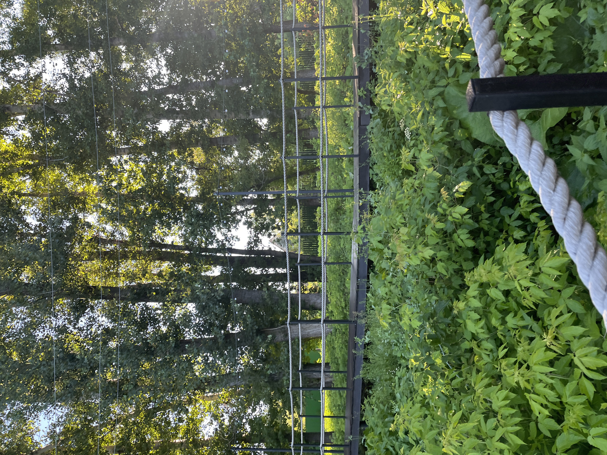 The image depicts a wooden walkway with a rope railing, situated amidst lush green foliage and tall trees. The walkway appears to be elevated, possibly over a natural area. Sunlight filters through the leaves of the trees, casting dappled shadows on the scene. The overall impression is one of a serene, outdoor environment. The location is confirmed to be the city of Blagoveshchensk, Russia, suggesting it could be a park or recreational area within the city. No people or specific actions are visible in the image.