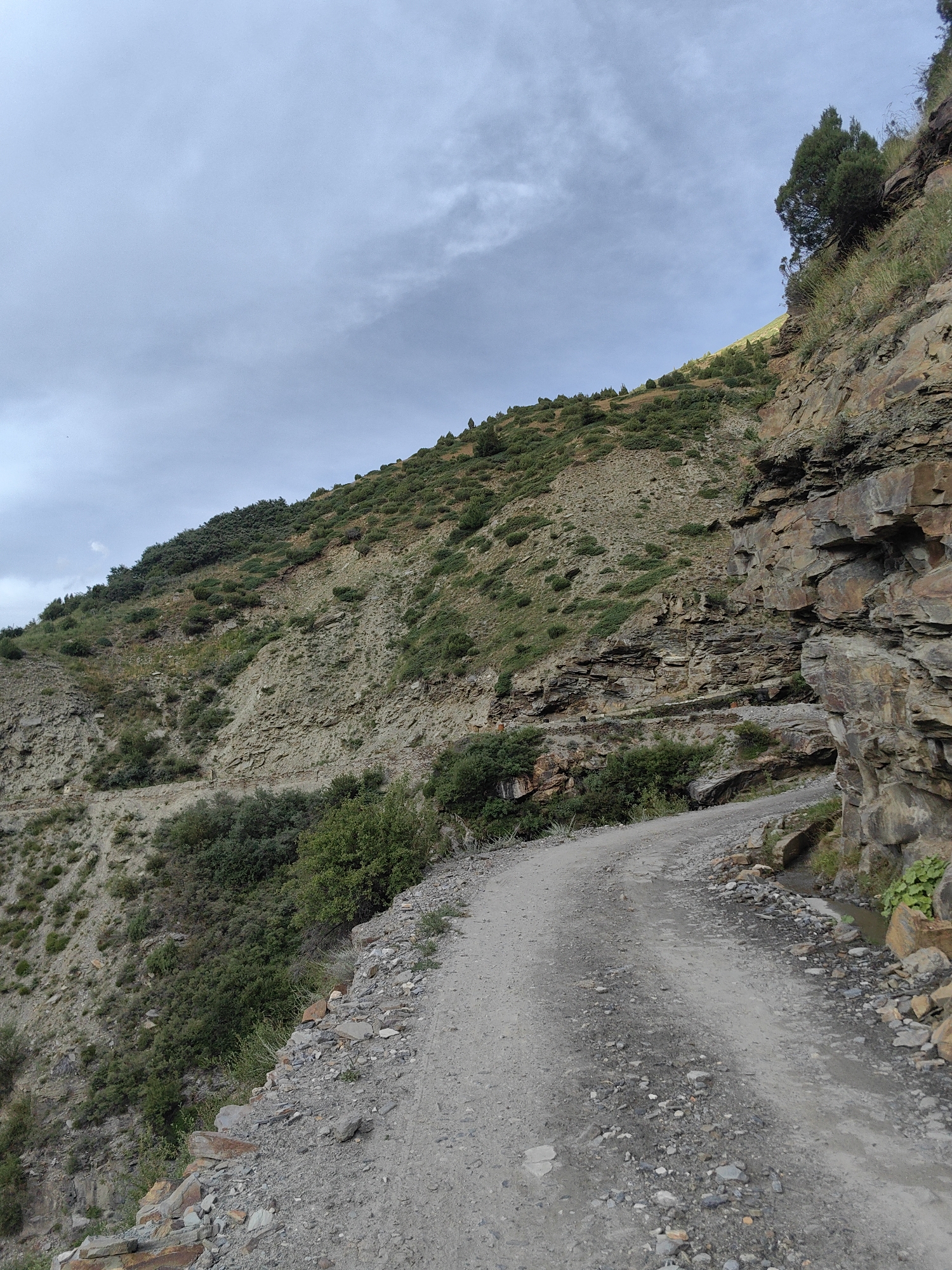 The image depicts a winding, unpaved road carved into a steep, rocky mountainside in the vicinity of Tandi, India. The road surface is composed of dirt and gravel, with visible rocks and debris. The terrain is rugged, characterized by a steep incline on the left and a sheer rock face on the right. Sparse vegetation, including bushes and small trees, dots the mountainside. The sky above is overcast with scattered clouds. The scene appears to be a remote and rugged mountain pass.
