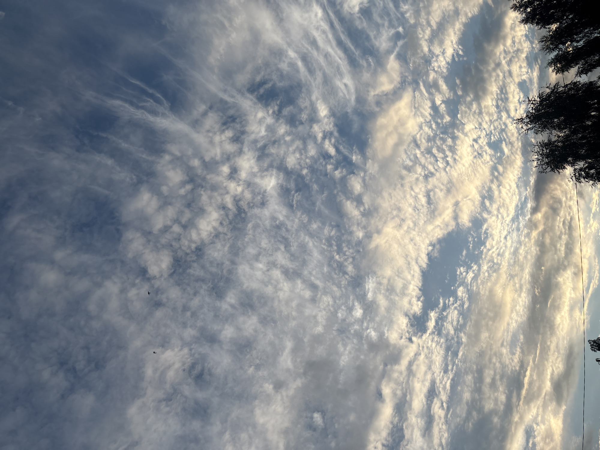 A wide-angle, low-angle shot captures a vast expanse of sky filled with dynamic clouds. The sky transitions from a deep blue at the top to lighter shades of blue and white towards the bottom. Wispy, cirrus clouds streak across the upper portion of the frame, interspersed with larger, fluffier cumulus clouds. The clouds are illuminated by what appears to be a setting or rising sun, casting a warm, golden glow on some of them, particularly in the lower half of the image. A few small, dark silhouettes of birds are visible in flight against the cloudy backdrop. The bottom of the frame features the dark, silhouetted tops of trees, suggesting an outdoor setting, possibly at dusk. A thin, dark horizontal line, likely a wire or cable, stretches across the lower part of the image. The overall impression is one of natural beauty and open space. The scene does not contain any people, and the location is Unknown.