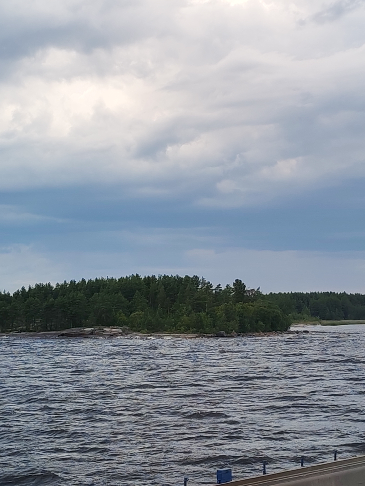 A body of water with moderate waves is in the foreground, leading to a rocky shore lined with dense green trees that form a treeline. The trees are mostly coniferous, with some deciduous trees interspersed. Behind the treeline, the land appears to slope upwards. The sky is overcast with a mix of gray and white clouds. The image is taken from a slightly elevated perspective, possibly from a boat or a pier. No people or man-made structures are visible in the immediate vicinity of the trees and water.