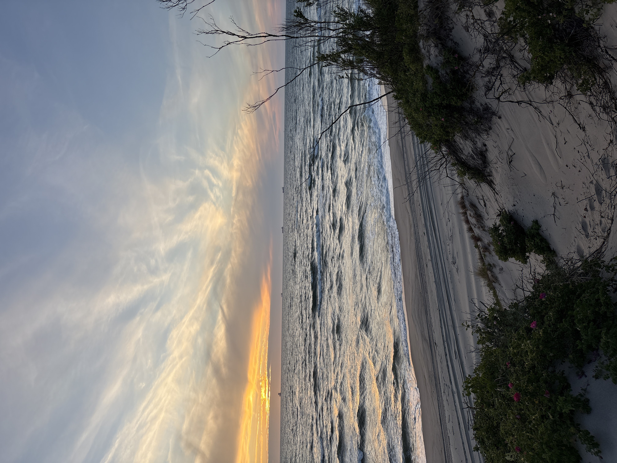 This is a photograph of a beach scene at sunset, likely in Baltiysk, Russia, given the presence of several cargo ships on the horizon, a common sight in the waters off the Baltic Sea port city. The sky is filled with wispy clouds painted in hues of orange, yellow, and pink, with the sun setting just above the horizon on the left side of the frame. The ocean is choppy, with waves rolling towards the shore, creating a foamy white line where they meet the sand. The foreground of the image features sand dunes covered in sparse vegetation, including some bushes with small pink flowers and dry, bare branches. Tire tracks are visible on the sandy beach, indicating recent vehicle activity. The overall mood of the image is serene and tranquil, capturing the beauty of a coastal sunset.