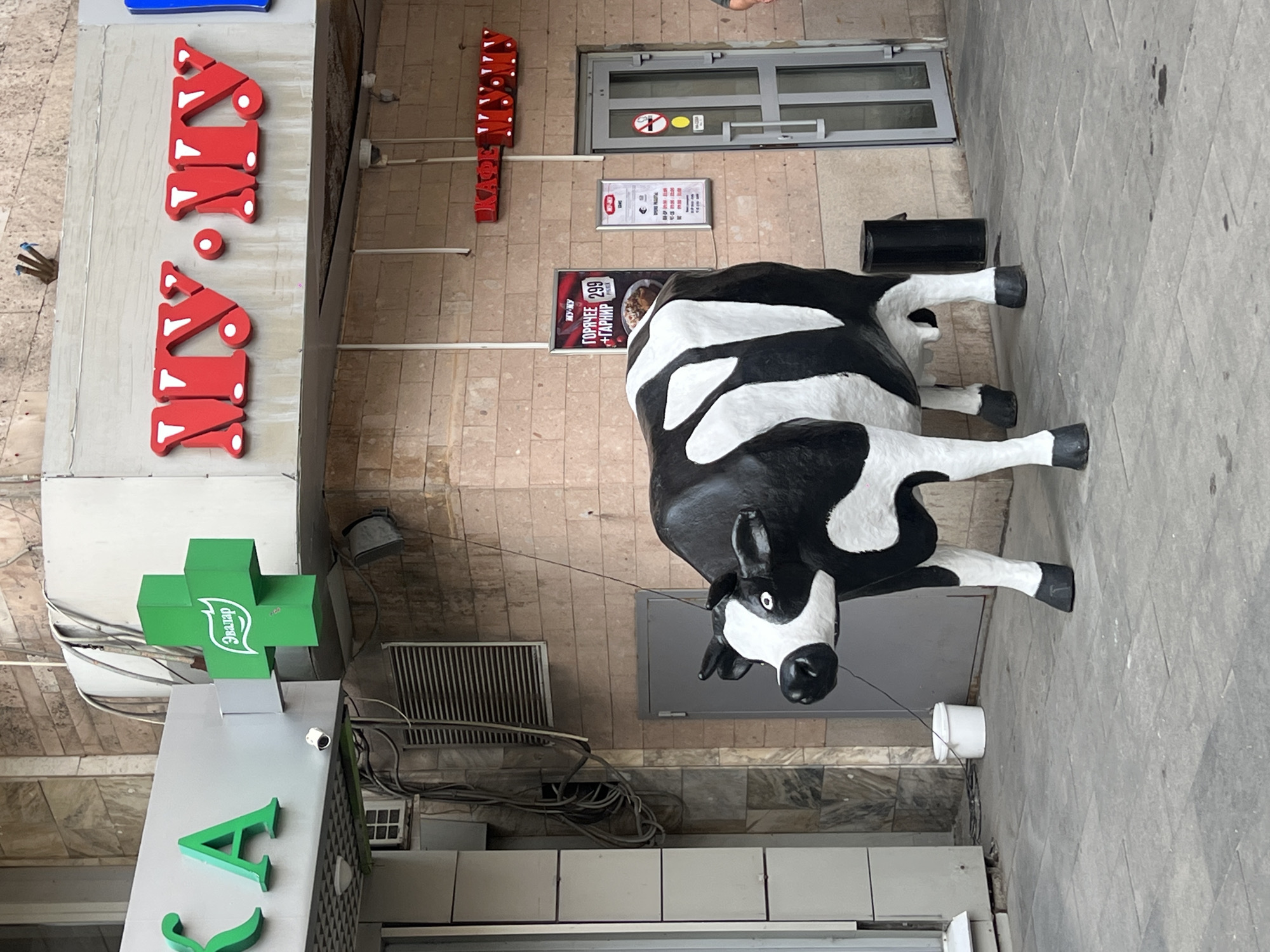 The image captures a street scene in Moscow, Russia, featuring a large, black-and-white cow sculpture positioned prominently in front of a building. The sculpture is the primary subject, standing on a paved outdoor area.
Behind the cow, the building exhibits a facade of beige brickwork. Several signs are visible. One sign, above and to the left of the sculpture, features large green letters that appear to spell "KA" and a green cross symbol with the word "Эвалар" inside it, suggesting a pharmacy or health-related establishment. To the right of this, a red sign with white lettering reads "MU-MU". Further to the right, another red sign with white lettering, possibly illuminated, displays the word "КАФЕ" followed by what appears to be "MU-MU" again.
To the left of the cow, there is a grey door and a white bucket on the ground. Above the door, a white vent is visible. To the right of the cow, a black trash receptacle stands near a glass-paneled door with a "no smoking" sign and a circular yellow sticker. Two smaller signs are mounted on the wall to the left of this door; one is a menu or advertisement with a picture of food and the number "299", and the other is a white sign with black text, likely displaying business hours or information.
The ground is paved with grey tiles. The overall lighting suggests an overcast or shaded daytime. The scene appears to be an urban commercial area.