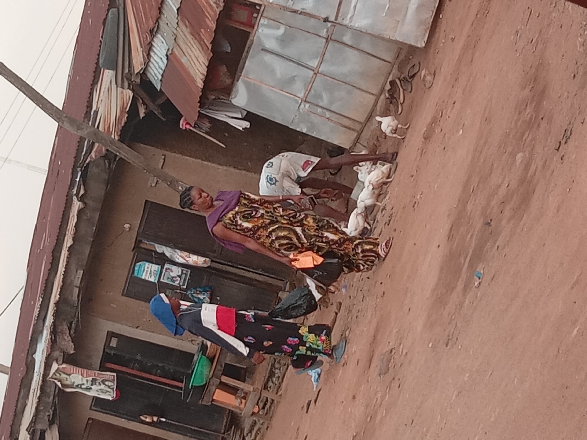 In Sabon Tasha, Nigeria, a street scene unfolds with three individuals and several chickens. The ground is a dirt path, suggesting an unpaved urban or rural area.
To the left, a person wearing a blue headscarf and a black, white, and red striped jacket over a patterned dress walks, carrying a dark bag in their right hand. Their feet are clad in blue flip-flops.
In the center, another person, this time in a long, vibrantly patterned dress and a purple headscarf, walks towards the right, also carrying a dark bag with an orange cloth draped over it. Their footwear appears to be sandals.
To the right and slightly behind the central figure, a third person, dressed in white shorts with a red and blue design, is bending down, appearing to interact with the chickens.
A group of white chickens are scattered on the ground, some pecking at the dirt, others standing.
The background features rudimentary structures with corrugated metal roofs, typical of informal settlements or marketplaces. One building on the left has posters on its exterior. A wooden post stands vertically near the center of the frame. Further to the right, a more developed structure with a galvanized metal exterior is visible, housing what appears to be a small stall or enclosure. A pair of brown shoes and some flip-flops are placed on the ground near this structure. The sky above is overcast and appears a pale grey.