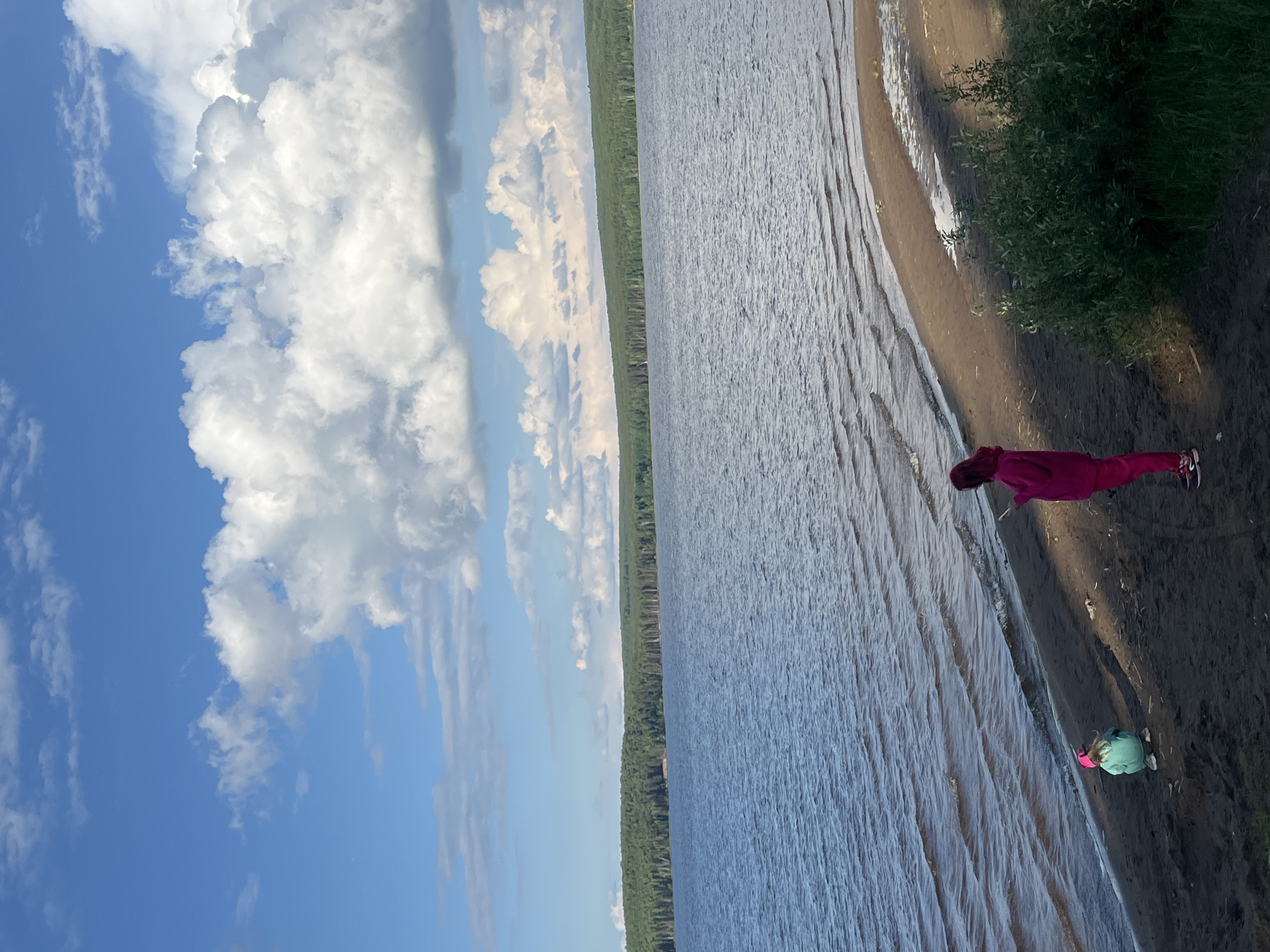 A wide landscape shot, rotated ninety degrees clockwise, depicts a sunny day by a large body of water in Chaikovsky, Russia. The sky, occupying the upper left quadrant of the rotated image, is a vibrant blue with large, voluminous white cumulus clouds on the left and thinner, scattered clouds stretching across. A distinct horizon line separates the sky from a long, narrow band of dense green forest in the middle ground, indicating a wooded shoreline on the opposite side of the water.
The central part of the image is dominated by a vast expanse of water, likely a lake or wide river, displaying numerous small ripples across its surface, suggesting a gentle breeze. Along the right side of the image, a sandy or earthy bank slopes down to meet the water. Patches of green vegetation, including bushes and grass, are visible along this bank.
Two individuals are present on the shoreline. One person, positioned towards the center-right of the rotated image, is wearing a dark pink or fuchsia hooded jacket and pants with dark sneakers, and is standing with their back mostly to the camera, facing the water. Further down the bank, closer to the water's edge, a smaller figure, presumably a child, is visible in a light green or teal top and a pink hat, appearing to be bending down or sitting.
The scene conveys a peaceful outdoor setting under bright daylight, with clear skies and pleasant weather, likely during late morning or afternoon. No text is visible in the image.