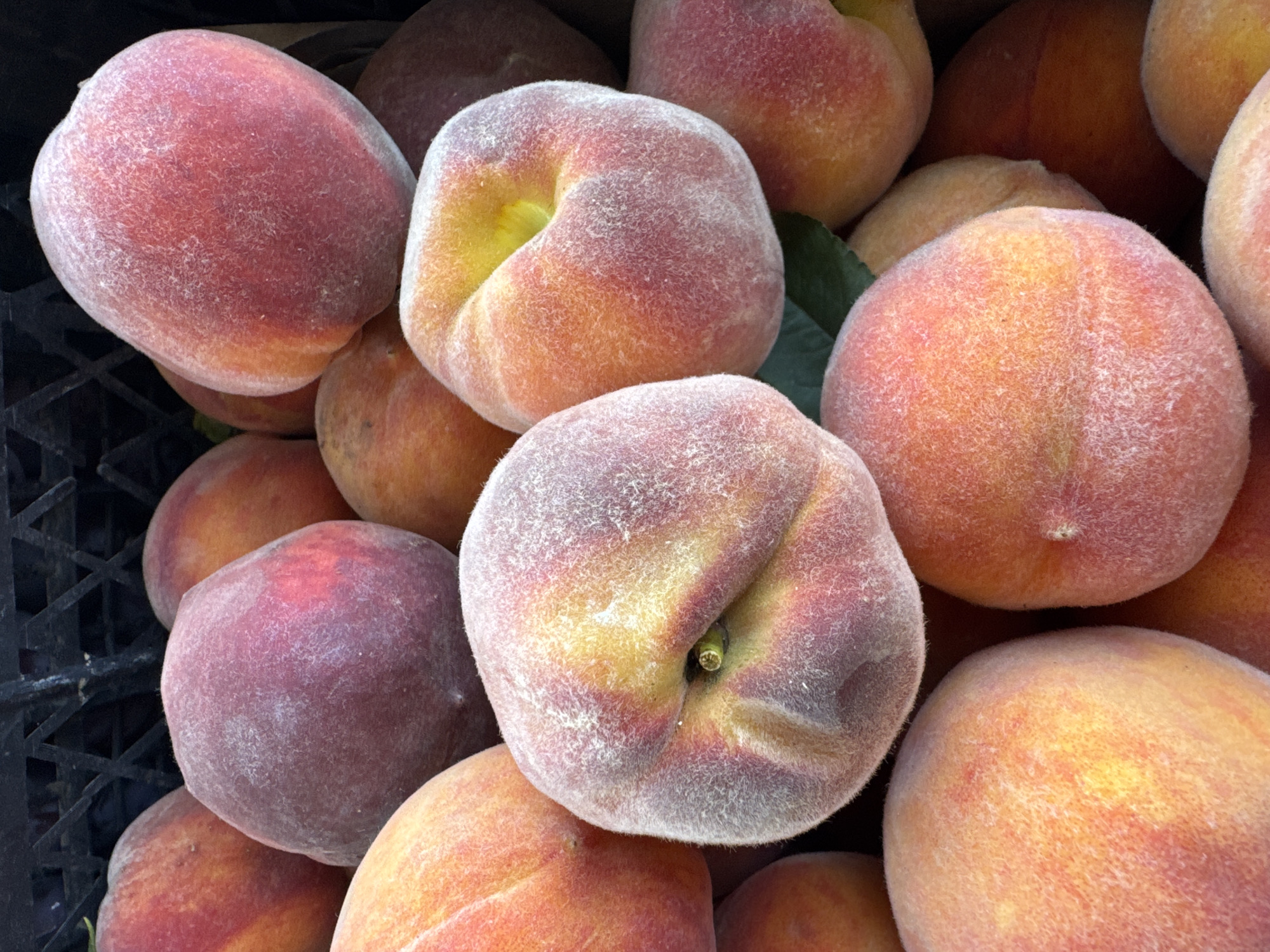 A close-up, overhead shot shows a pile of ripe peaches in a black crate. The peaches are fuzzy and have a mix of red, pink, and yellow coloring. Some are partially obscured by others. The scene appears to be an outdoor market stall in Shcherbanka, Ukraine, evidenced by the produce and a glimpse of the crate's texture, suggesting a local vendor's display. There are no people visible in the frame, and the focus is entirely on the fruit.