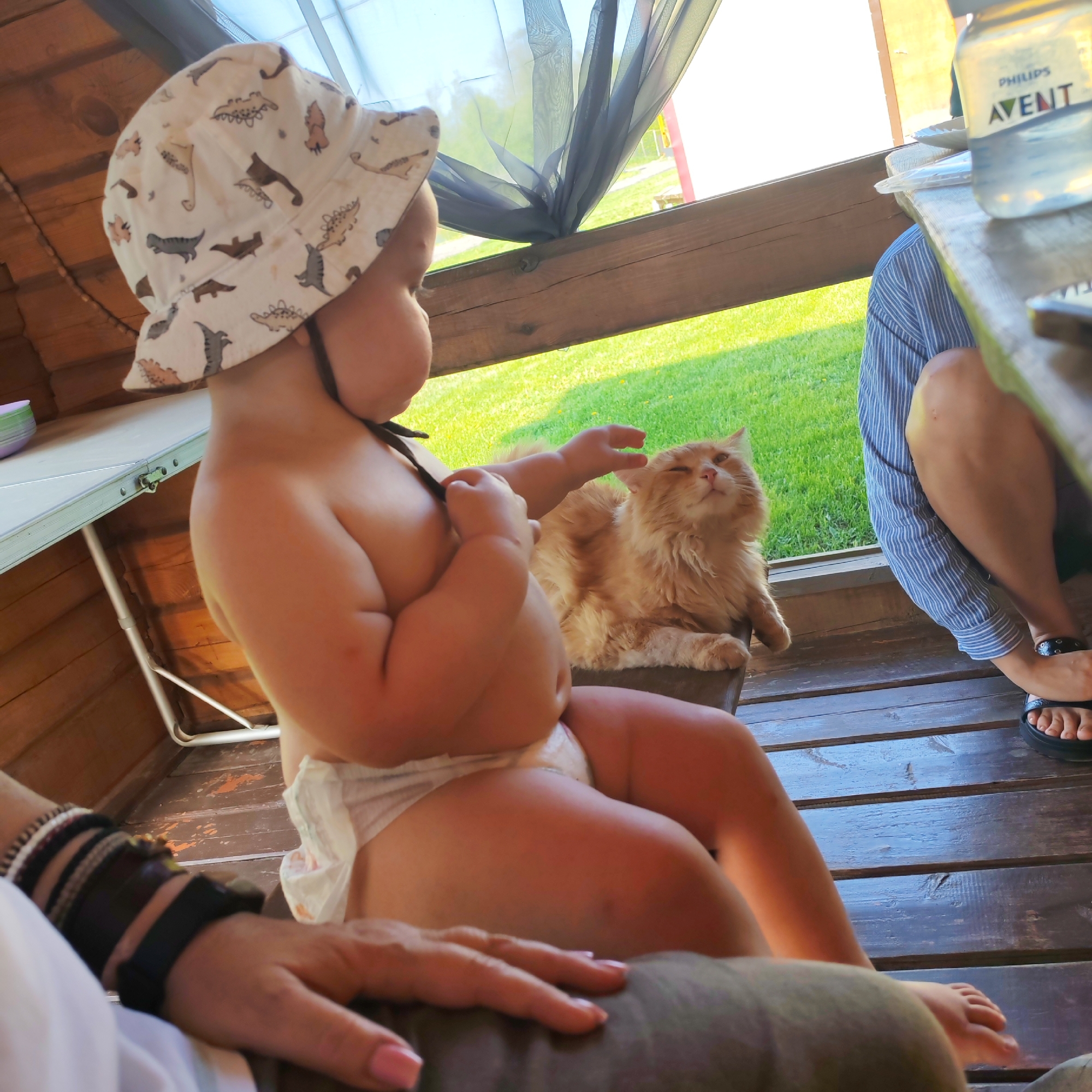 A baby wearing a hat and diaper sits on someone's lap, reaching out to pet a ginger cat sitting nearby. The scene appears to be on a wooden porch or deck, potentially in an outdoor dining area. A bottle of water is visible on a table, and other people are present, though only partially in view. The location is Malyi Bukor, Russia.