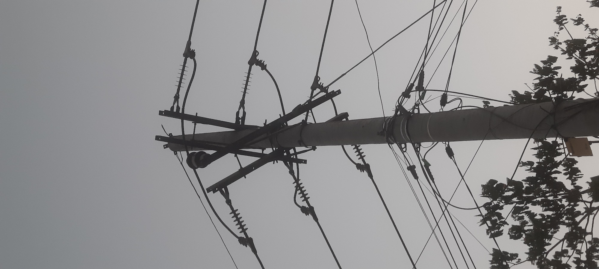 This image depicts a concrete utility pole with numerous overhead electrical wires and insulators against a pale sky. The pole is adorned with several crossarms and supporting brackets from which the wires are suspended. Some of the insulators are black and cylindrical, while others are white and ribbed. The wires are arranged at various heights and angles, creating a complex network. In the lower left and right portions of the image, silhouetted tree branches with dark foliage are visible, suggesting the pole is located in an area with vegetation. A small yellow rectangular tag is attached to the pole at the bottom. The scene appears to be outdoors, likely during daylight hours given the sky's illumination. The overall impression is one of functional infrastructure within a possibly semi-urban or rural setting.