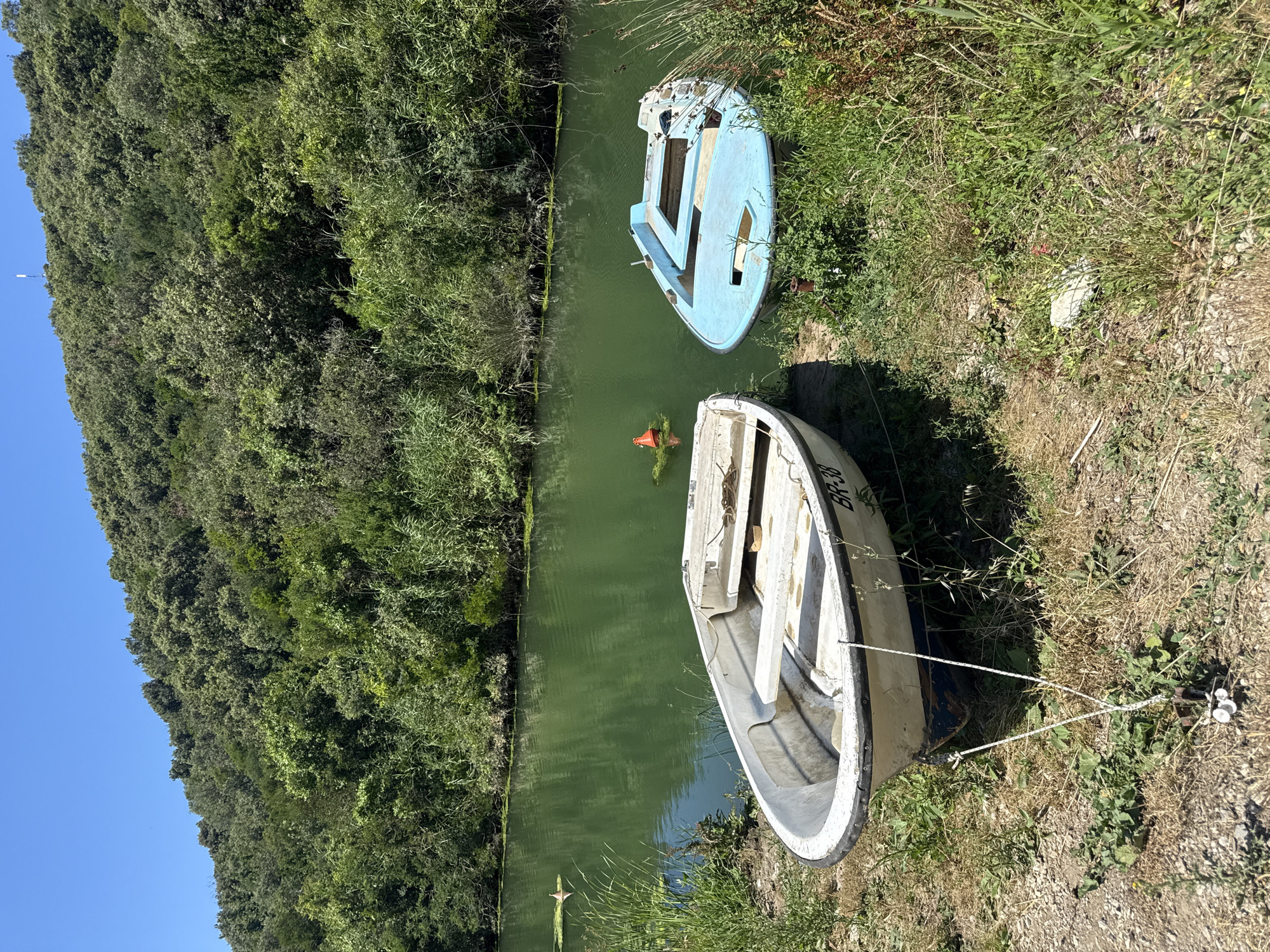 Two small boats are pulled ashore on the grassy bank of a calm, green body of water. The boat in the foreground is white with blue trim and has the registration "BR-38" visible on its side. It is secured with rope to a metal stake. To its right, a light blue boat floats in the water, partially submerged and appearing somewhat dilapidated. In the background, a dense, green hillside covered in trees and vegetation slopes upwards towards a clear blue sky. A small orange buoy is visible floating in the water between the two boats. The scene is set in a natural environment, likely in or near Prijevor, Montenegro, given the context.