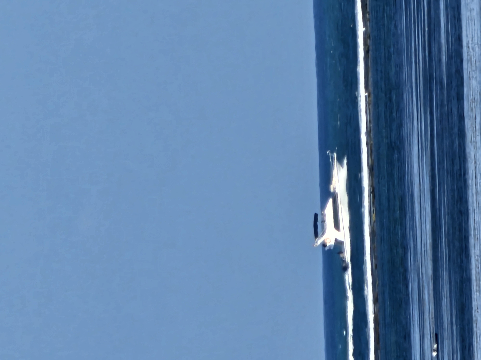 A white motor yacht with a black canopy is cruising on the ocean under a clear blue sky. The boat is leaving a foamy wake. In the foreground, the water is choppy and appears to be reflecting the sky. There is a strip of lighter colored water in the middle ground, possibly indicating shallow water or a sandbar. The scene appears to be a coastal area, possibly near Denpasar, Indonesia, given the calm weather and the type of vessel.