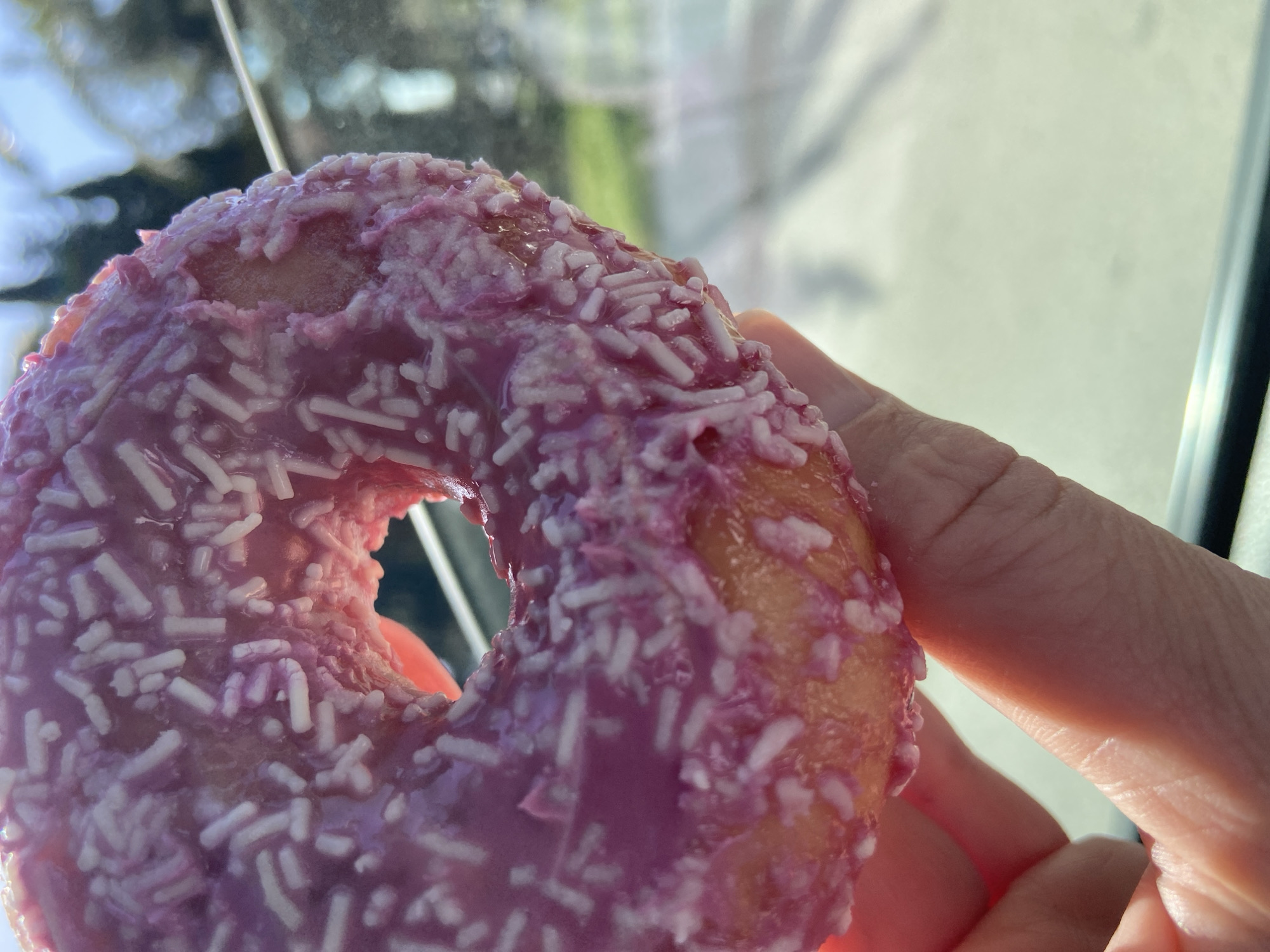 The image captures a close-up view of a hand holding a donut. The donut is the primary subject, featuring a vibrant pink or light purple icing generously adorned with numerous white, stick-shaped sprinkles. The icing appears glossy and slightly melted, indicating a recent application or warm conditions. The golden-brown hue of the donut itself is visible around the edges and through the central hole. A human hand, showing visible skin texture and lines, cradles the donut from below.
The background is softly blurred, suggesting a shallow depth of field. It appears to be an outdoor scene viewed through a window or glass, with diffused natural light illuminating the entire frame. Blurred green foliage and light, indistinct shapes, possibly representing structures or the sky, are visible in the background. The bright lighting suggests it is daytime, likely under sunny conditions. The scene evokes a casual moment, perhaps enjoying a sweet treat. There is no visible text in the image. The context places this scene in Budva, Montenegro.