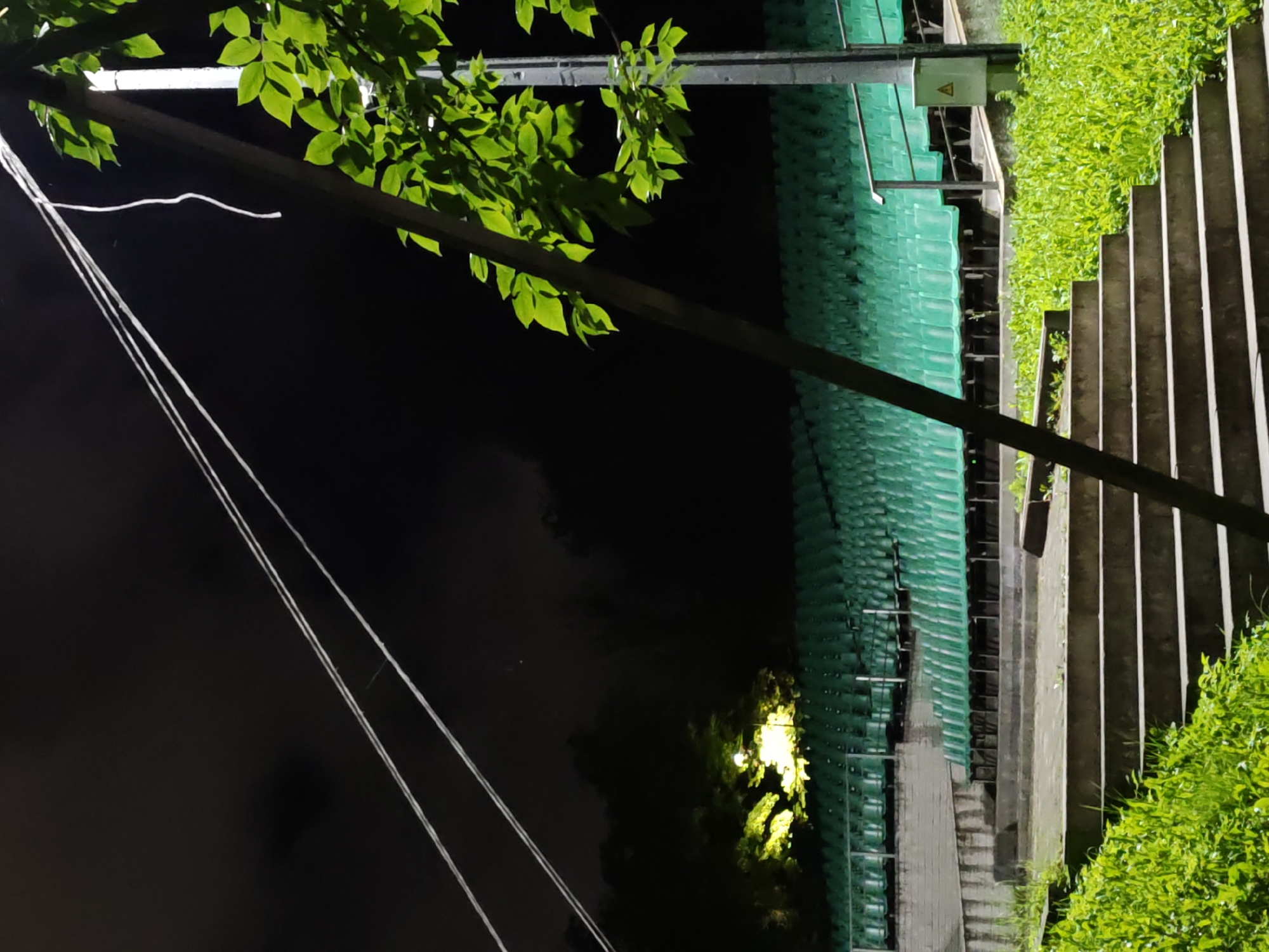 This is a nighttime photograph taken in Pskov, Russia, featuring an outdoor amphitheater with rows of green seating. In the foreground, a set of concrete steps leads up towards the seating area, flanked by lush green grass and foliage. A tall, dark pole, likely part of a lighting or support structure, stands prominently on the right side of the image, with bright green leaves from an overhanging tree obscuring part of it. Overhead, several taut, white wires stretch across the dark night sky. In the middle ground, a single yellow light illuminates a patch of trees, creating a warm glow against the darkness. The overall scene depicts an empty, outdoor venue at night, with elements of both nature and man-made infrastructure present.