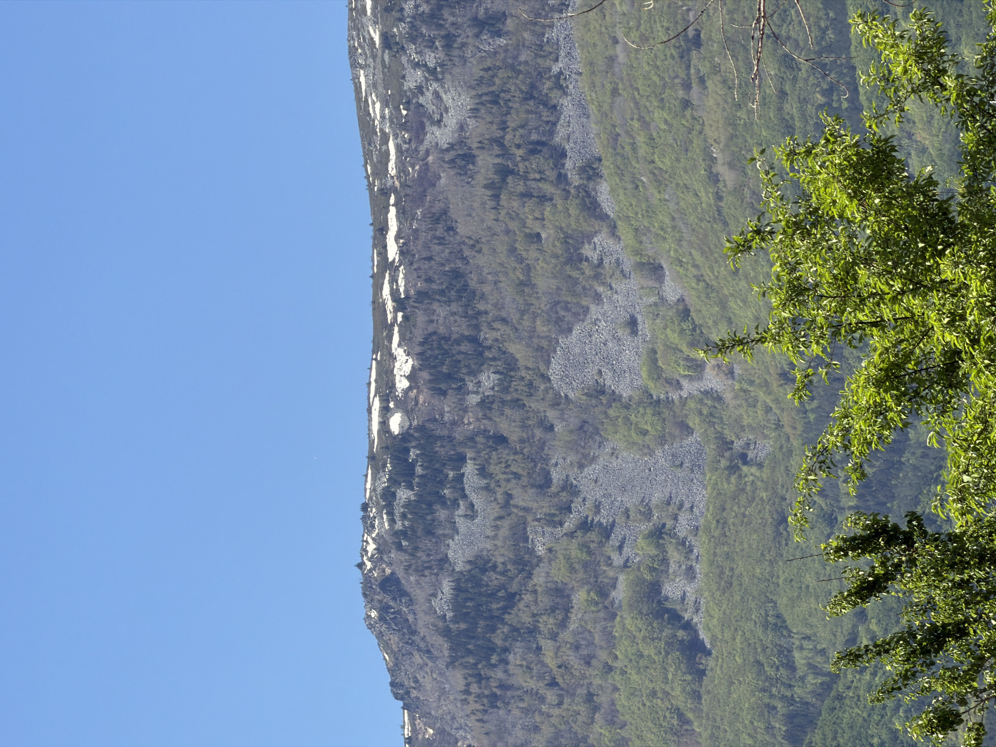 The image shows a mountainside covered with vegetation and some patches of snow on the ridge. A clear blue sky occupies the left portion of the frame. In the foreground, on the right, there is a tree branch with green leaves. The scene suggests a mountainous landscape, but the image lacks specific contextual information to place it within the city of Sofia, Bulgaria, or identify any people or actions.
