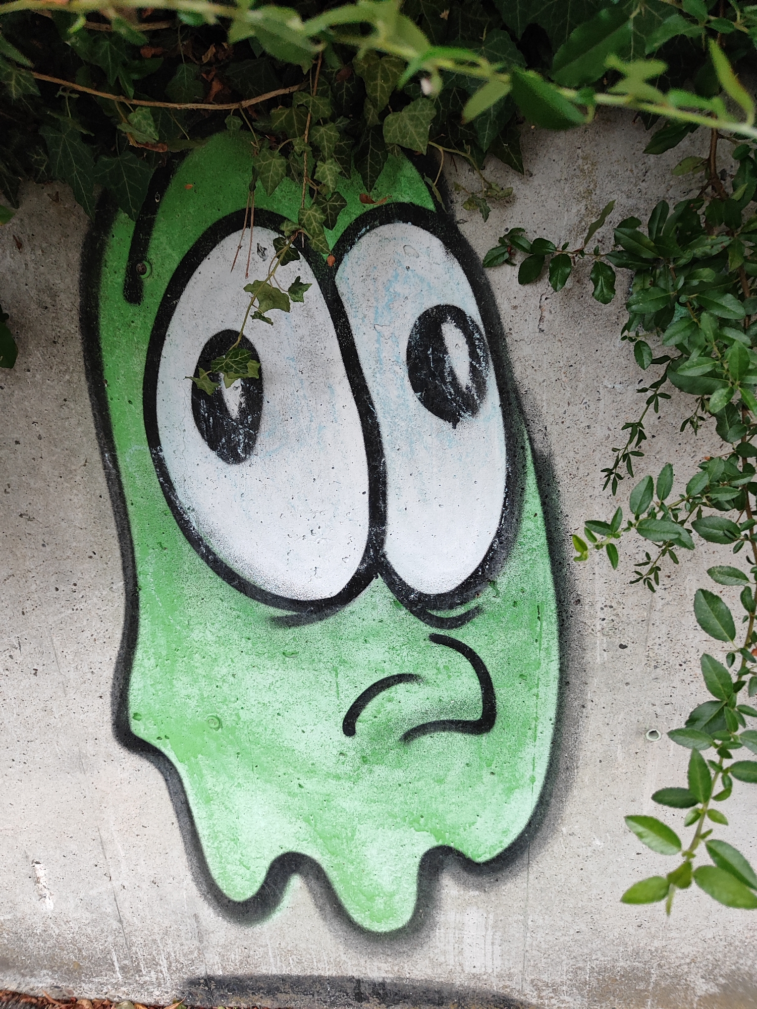 This is a close-up, eye-level, outdoor photograph of graffiti on a concrete wall. The graffiti depicts a stylized, cartoonish green creature with large, white eyes outlined in black. The creature's expression appears distressed or concerned, with a furrowed brow and downturned mouth. Green ivy and small leafy branches are growing over the top and right side of the graffiti, partially obscuring the image and the concrete wall. The lighting suggests it is daytime. The graffiti is located in Offenburg, Germany.