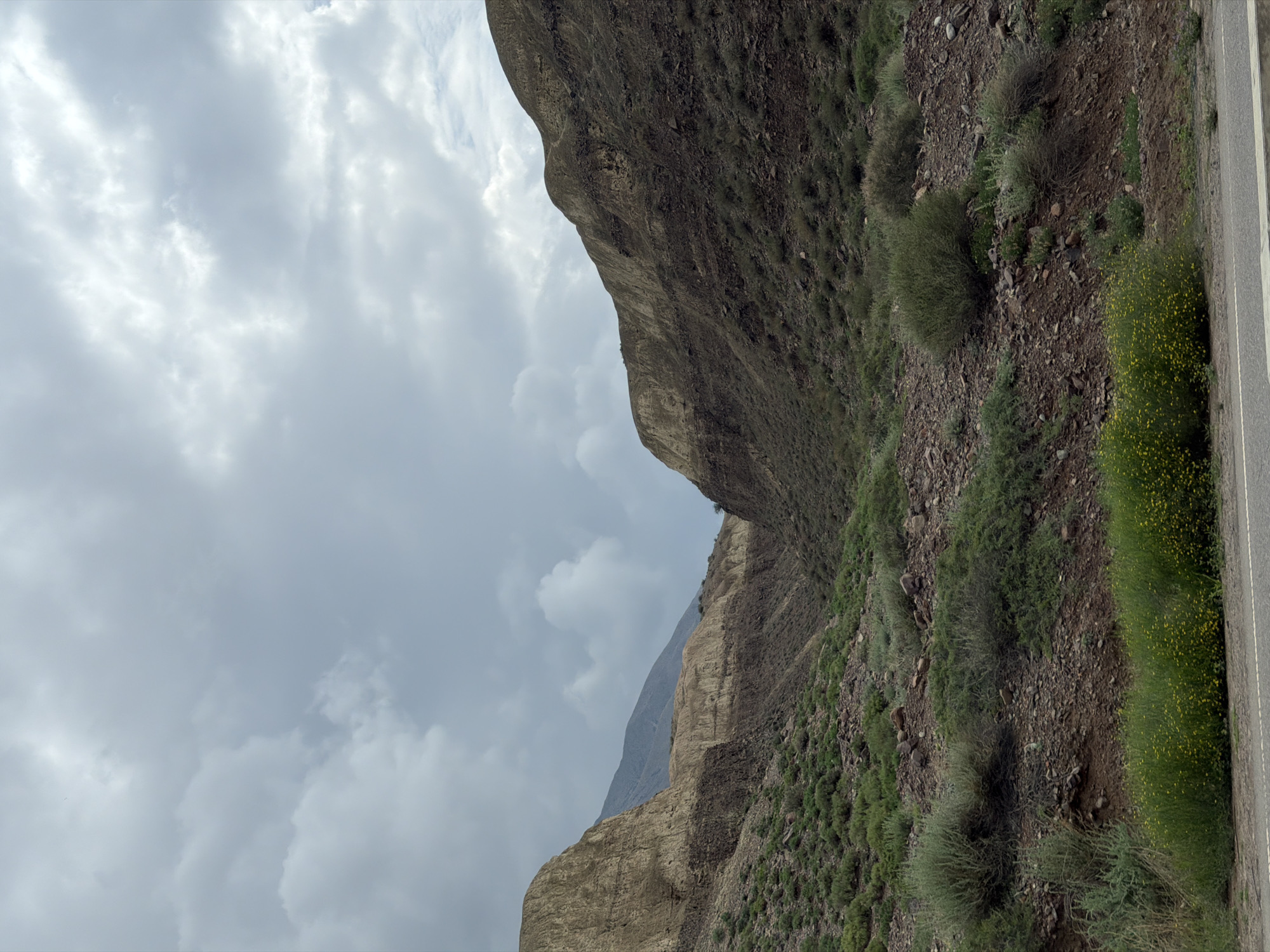 The image displays a rugged, mountainous landscape with a narrow, natural pass or canyon. The terrain is characterized by steep, eroded hillsides composed of layered rock and soil in shades of tan, brown, and dark grey. Sparse vegetation, primarily low-lying shrubs and grasses in various shades of green, dots the slopes. In the foreground, a patch of vibrant yellow wildflowers is visible along the base of the hill, bordering a paved road. The sky above is overcast with heavy, grey clouds, suggesting a cloudy or possibly inclement weather day. The overall scene is one of natural, untamed wilderness. There are no people or animals visible in the image. The location is identified as being in the vicinity of the city of Krasnyy Most, Kyrgyzstan.