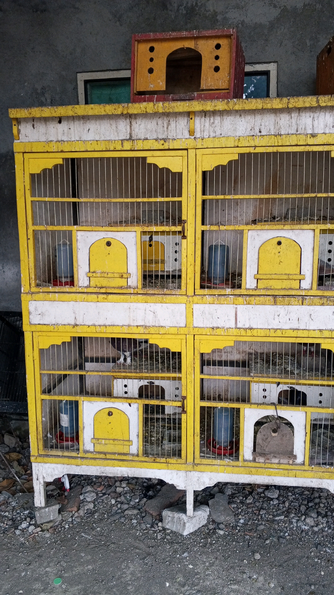 A two-tier, four-unit pigeon coop is positioned outdoors in what appears to be a city environment in Semarang, Indonesia, likely in an alley or yard given the rough ground and wall backdrop. Each unit is constructed of yellow-painted metal bars and features white and yellow decorative elements, including small doors or nesting boxes. Water dispensers are visible in several cages. The coop is somewhat weathered, with peeling paint and visible dirt and debris. The ground beneath is covered in gravel, stones, and scattered debris, with concrete blocks supporting the coop's legs. A darker, more rustic structure, possibly another pigeon coop or nesting box, is stacked on top of the main coop. The overall scene suggests a functional but unkempt pigeon keeping setup.
