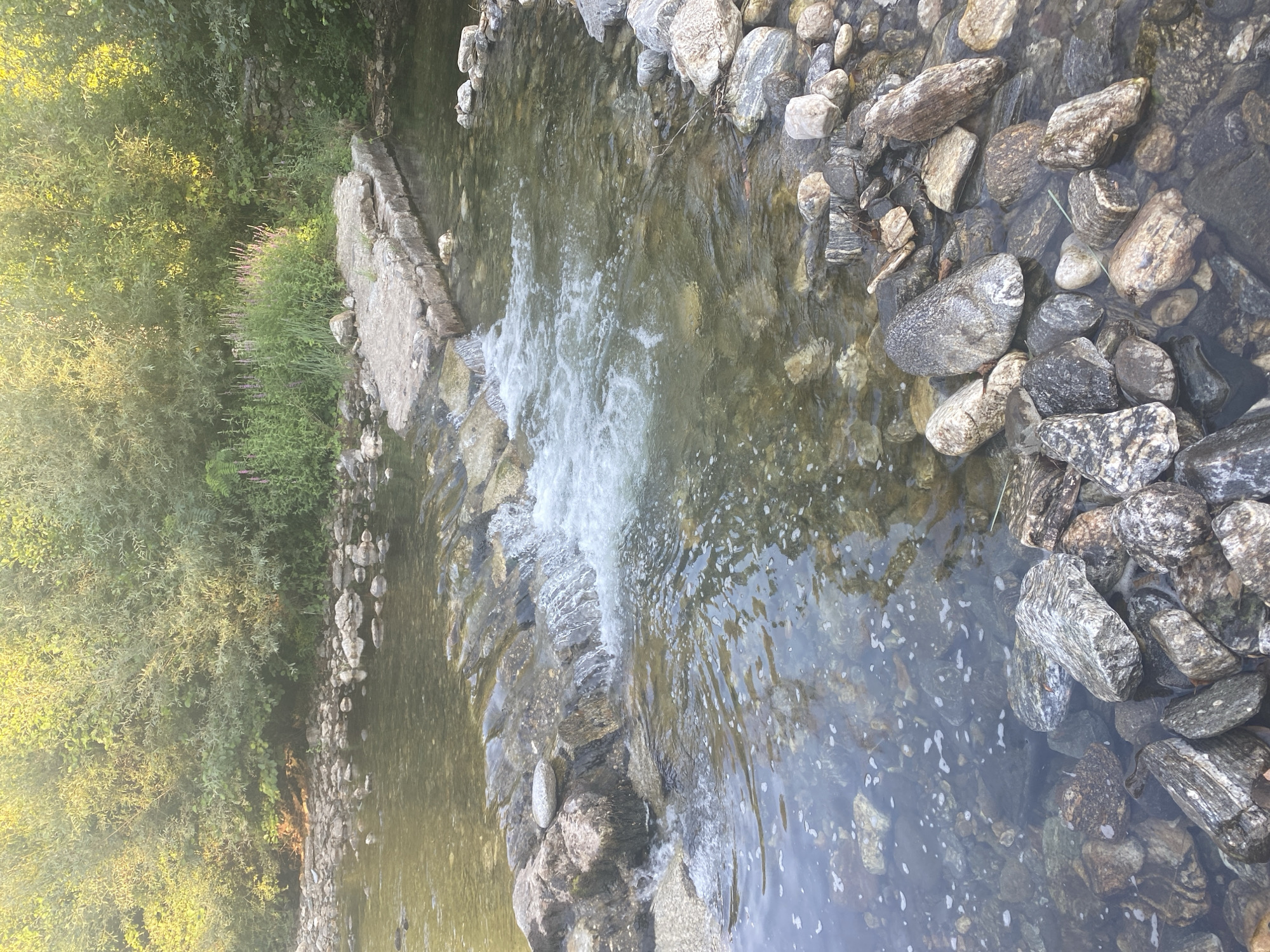 This image depicts a shallow, rocky stream with a small cascade. The water is clear and shallow enough to see the riverbed stones. On the right bank, a natural stone wall is visible, partially overgrown with vegetation. In the background, a dense line of trees and shrubs forms a natural border. The overall impression is one of a natural, undeveloped area within or adjacent to a city. Based on the typical landscapes found in Blagoevgrad, Bulgaria, this scene likely represents a section of the Bistritsa River or a similar natural watercourse within or on the outskirts of the city. There are no people or animals visible in the image.