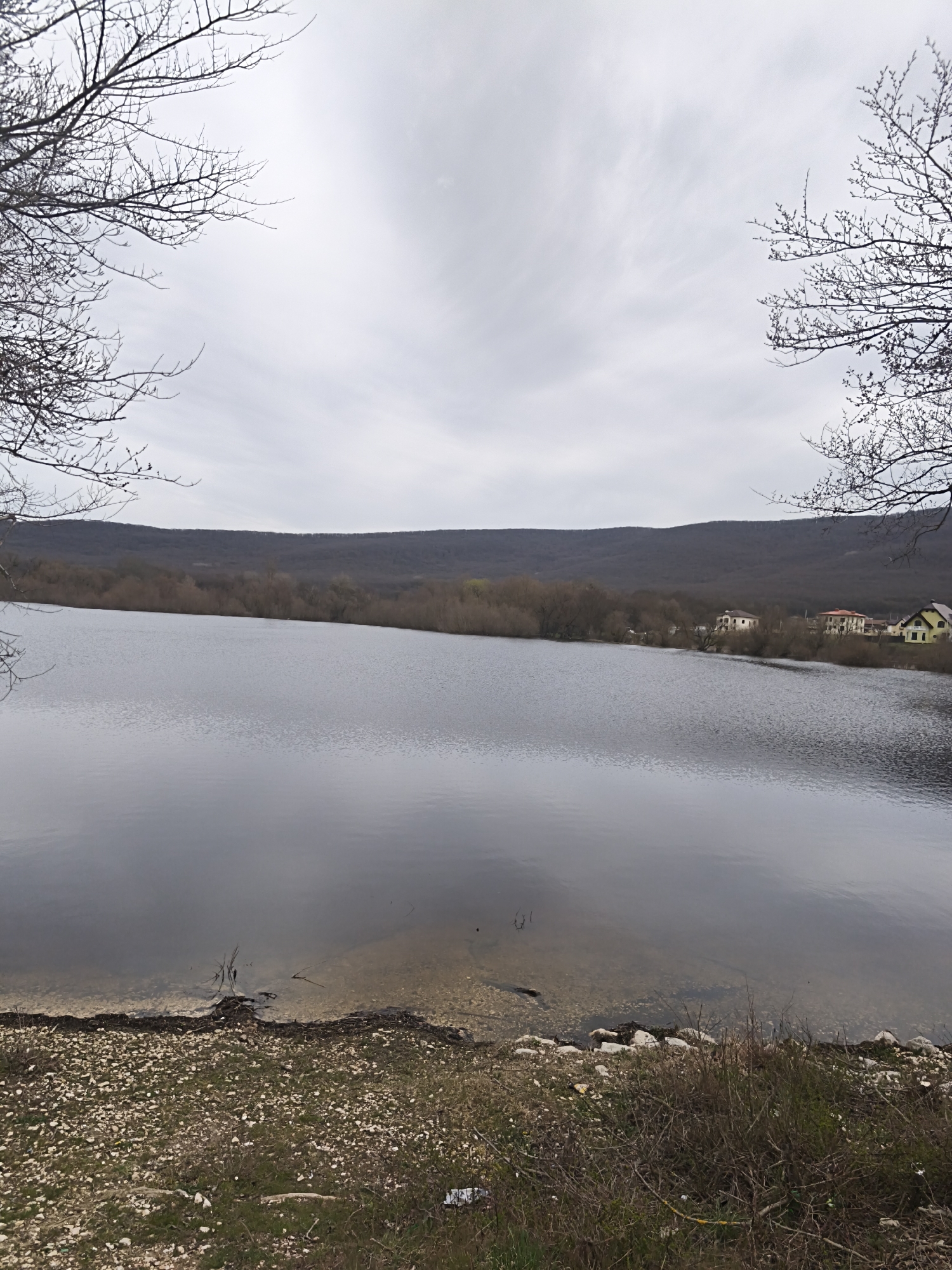 The image depicts a calm lake in Орлиновский округ, Ukraine, under an overcast sky. Bare tree branches frame the upper corners of the image. The water surface is relatively still, with subtle reflections of the sky. The shoreline is rocky and grassy, transitioning into a brown field with sparse green vegetation. In the background, a low hill or mountain range is visible, and a cluster of houses is situated along the lake's edge. The scene appears tranquil and natural, with the lake as the focal point.