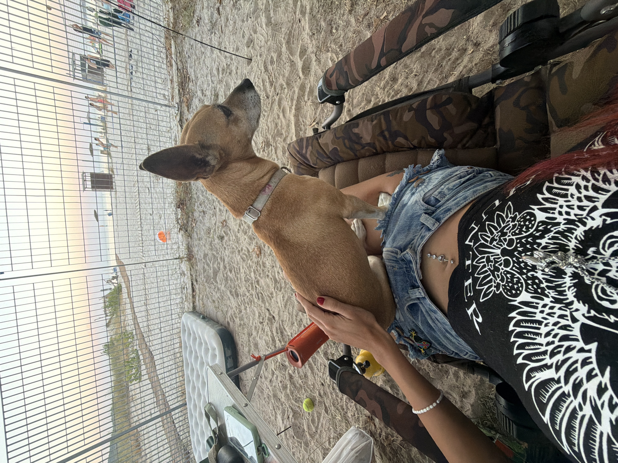 In Golden Beach, Greece, a brown dog sits on a person's lap in a camouflage chair. The person is wearing denim shorts and a black t-shirt with a white design. The scene is on a sandy beach with a fence in the background. A table, an air mattress, a tennis ball, and a red object are also present. The sky appears to be at dusk, with a hint of the sea in the distance.