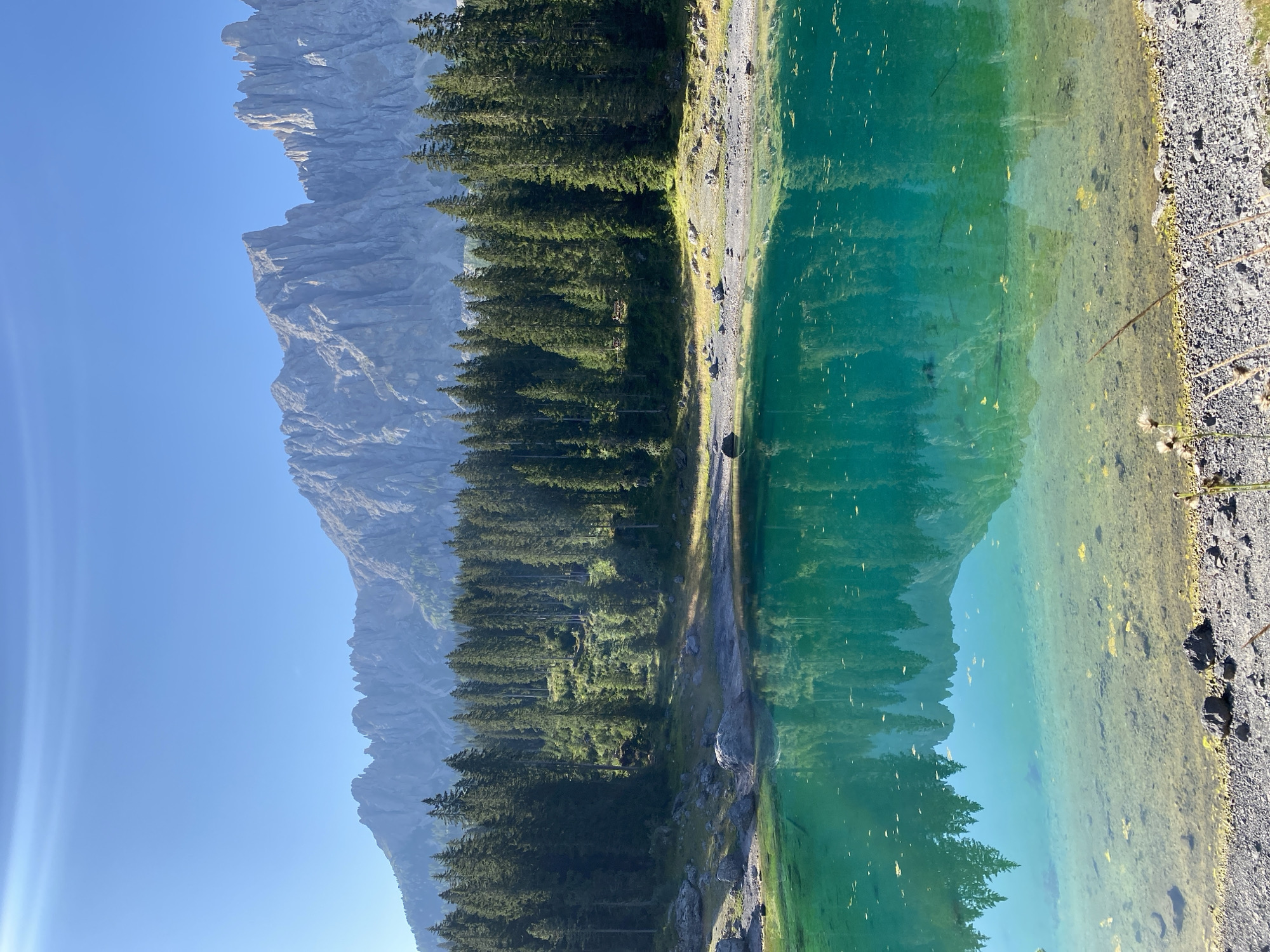 This is a photograph of the Lago di Carezza (Karersee) in Welschnofen - Nova Levante, Italy. The scene depicts a clear, turquoise lake in the foreground, reflecting the surrounding evergreen trees and the jagged, majestic peaks of the Rosengarten mountain range in the background. The lakebed is visible in the shallow areas, with pebbles and stones present along the shoreline. The trees, primarily coniferous, form a dense forest that extends up the slopes of the mountains. The sky is a clear, bright blue with a few wispy clouds. The overall environment is natural and serene, characterized by its striking natural beauty. There are no people or visible actions taking place in the image.