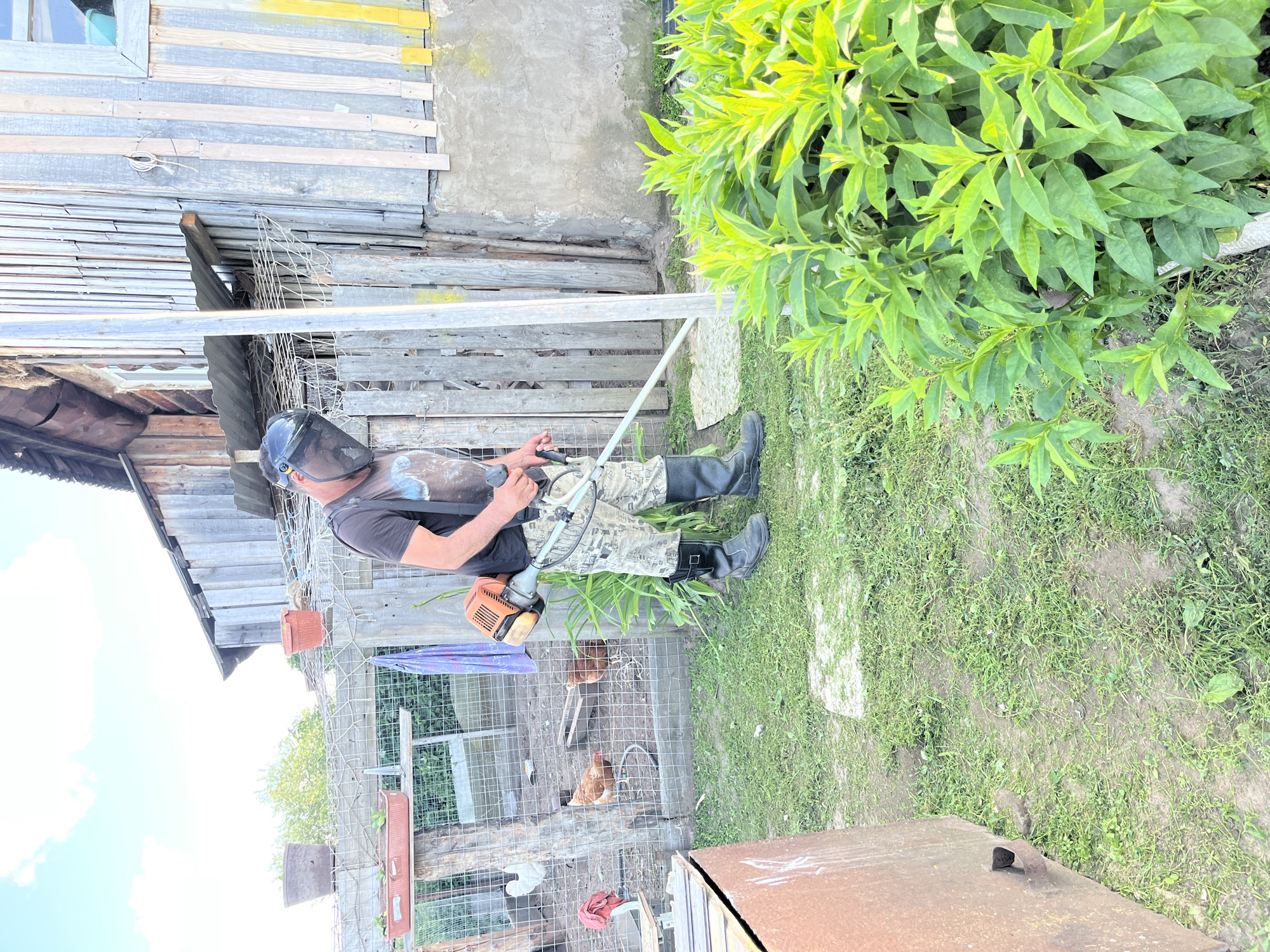 The image shows a person wearing protective gear, including a helmet with a face shield and sturdy boots, operating a weed trimmer. The person is dressed in a dark t-shirt and camouflage pants. They are standing on a grassy area next to a wooden structure that appears to be a shed or an outbuilding. A dense green bush is visible to the right of the person. In the background, there is a chicken coop with a few chickens inside, and other structures made of wood and metal. The scene appears to be outdoors, in a rural setting, possibly a backyard or a yard in a village. The lighting suggests it is daytime, likely during fair weather. The overall impression is of someone engaged in yard work or maintenance. There is no visible text in the image.