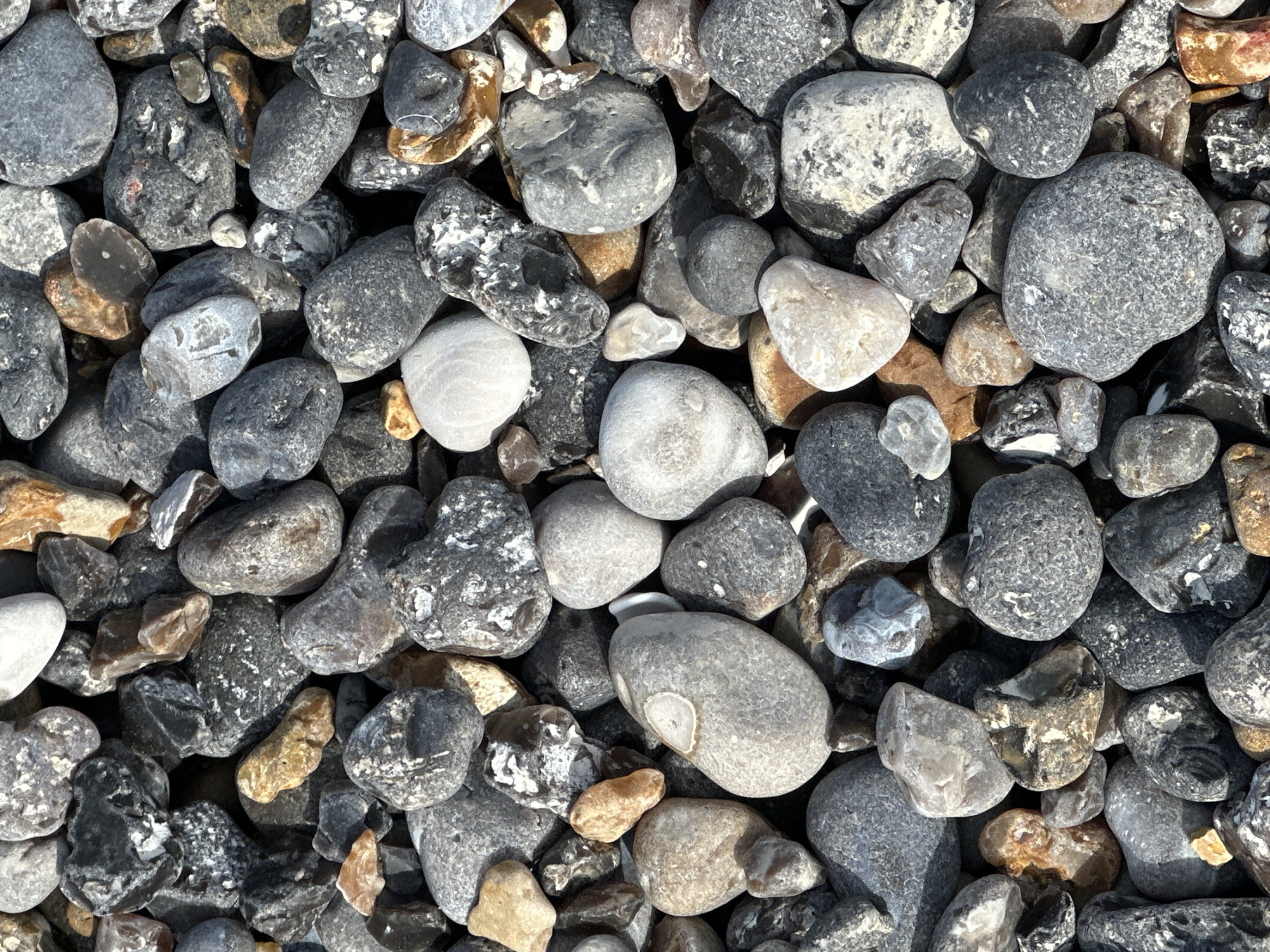 The image shows a close-up, overhead view of a textured surface composed of numerous smooth, rounded pebbles and stones. The stones vary in size, shape, and color, exhibiting shades of gray, white, brown, and black. Some stones have speckled or veined patterns, while others are more uniformly colored. The pebbles are densely packed together, creating a natural, uneven surface. There are no people or discernible structures visible. The scene appears to be an outdoor environment, likely a beach or a gravel path, with the natural arrangement of stones being the sole focus. Based on the context provided, this scene is located in Hautot-sur-Mer, France.