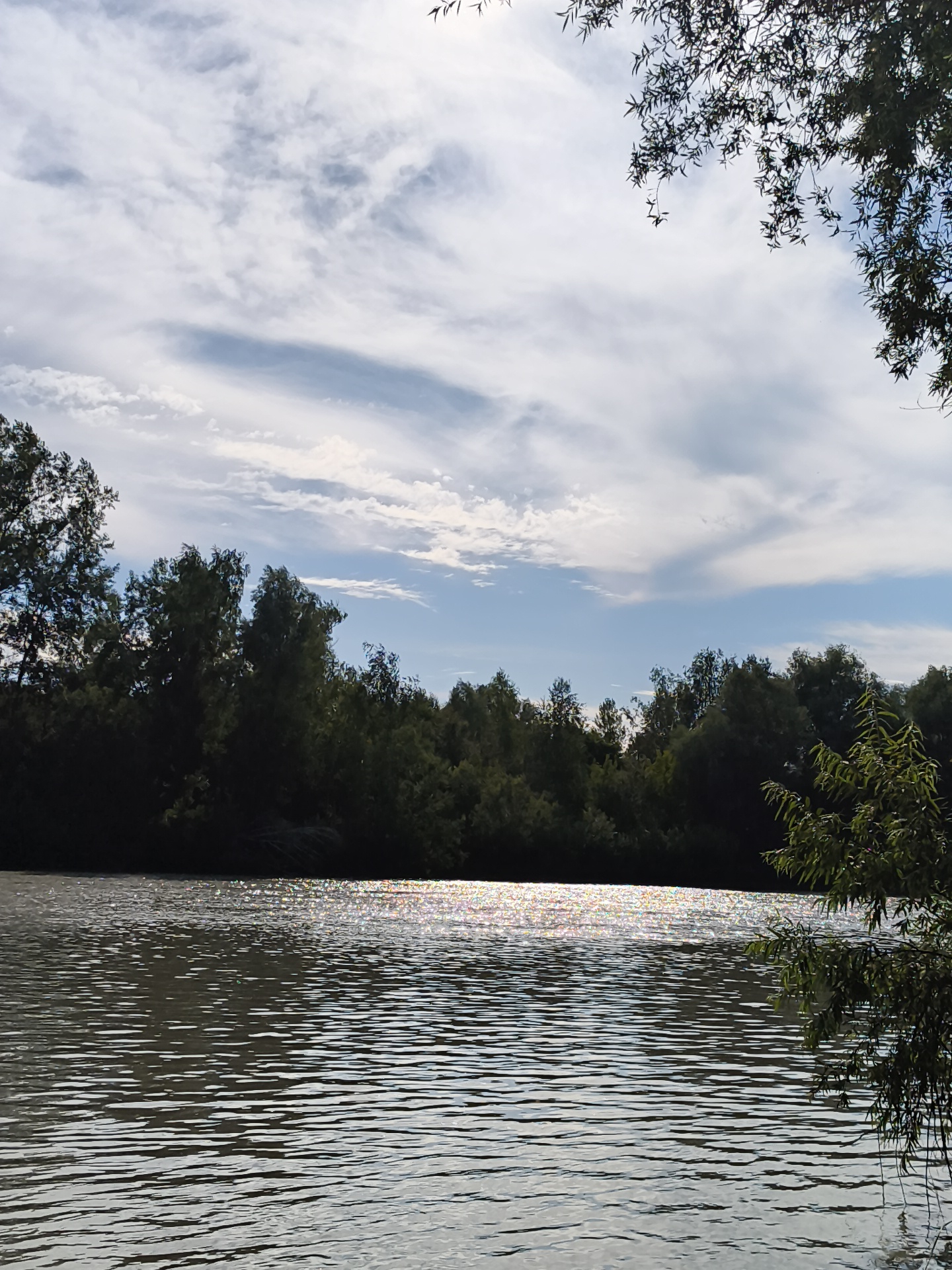 The image shows a tranquil river scene in Mayma, Russia, under a partially cloudy sky. The foreground features the rippling surface of a wide river, reflecting sunlight in a dazzling, shimmering band across its width. The water appears a muted gray-green, with distinct waves creating a textured surface. Along the far bank, a dense line of lush green trees forms a dark, shadowy backdrop. The trees vary in height and density, creating an irregular, natural treeline. Above the trees, the sky is a bright blue with scattered white and gray clouds, some of which are wispy and streaky, while others are more substantial. The overall impression is one of natural beauty and serenity, with the sun's rays catching the water and creating a vibrant highlight. The branches of a leafy green tree hang into the frame from the upper right corner, adding a touch of foreground detail and framing the sky. There are no people or man-made structures visible in the image.