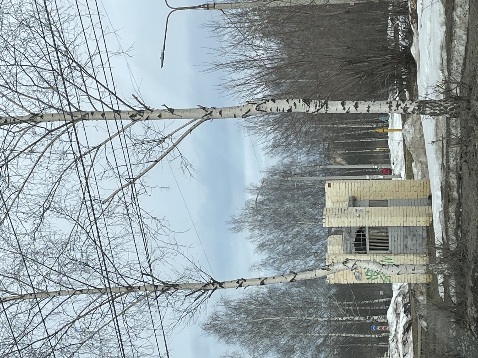 The image depicts a street scene in Izhevsk, Russia, likely during late winter or early spring. The foreground is dominated by two birch trees with characteristic white bark and bare branches. Numerous power lines crisscross in front of the trees. In the middle ground is a small, dilapidated brick building with graffiti on its lower portion. The building appears to be uninhabited, with boarded-up or damaged windows. Patches of melting snow and ice line the edges of the road and sidewalk. In the background, a row of leafless trees stretches into the distance, and the overcast sky is visible overhead. A street light pole is also visible.