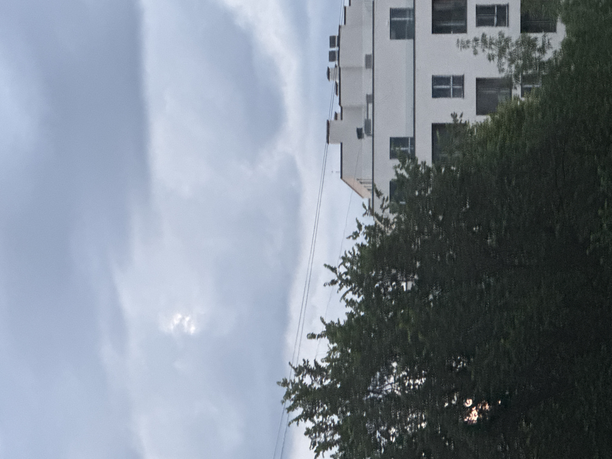 This image presents a forensic view of an urban landscape in the city of Sofia, Bulgaria, under an overcast sky. The upper two-thirds of the frame are occupied by a dense, grey-blue cloud cover, with a brighter, localized patch of light visible in the upper-middle left, indicating a partial breakthrough of sunlight. Two dark power lines extend horizontally across the sky, running above the tree line and the visible building. In the foreground, a substantial amount of dark green, dense foliage from deciduous trees occupies the lower half of the image, partially obscuring the view of a structure behind them. A discernible sun flare or reflection is visible through the leaves on the far left side of the tree canopy. Behind the trees, a modern, multi-story building with white facades is prominent. The building features numerous dark-framed windows, varying in shape and size, set into its uniform white exterior. The rooftop is visible, showcasing multiple dark, rectangular chimneys and several flat, square ventilation units. No people, specific actions, or interactions are discernible within the frame. The scene conveys a quiet, cloudy urban environment.
