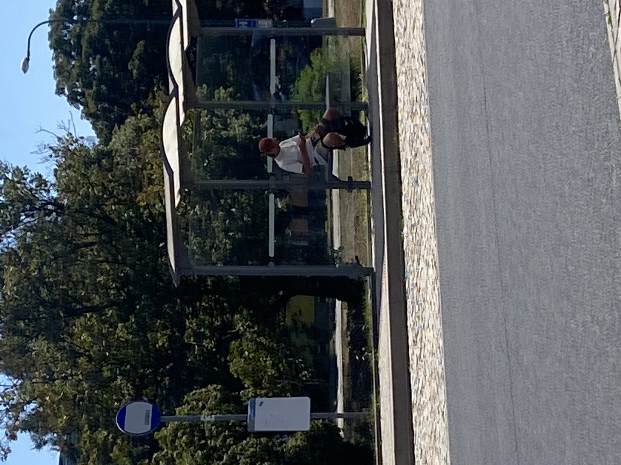 A person with a reddish-brown cap and a white t-shirt is sitting on a bench at a bus stop in Bílina, Czechia. They are looking down at a phone in their hands. The bus stop has a glass enclosure and a light-colored roof. Behind the bus stop, there are trees and a bright blue sky. In the foreground, there is a paved road and a sidewalk with a cobblestone pattern. A blue and white bus stop sign is visible to the left of the bus stop structure.
