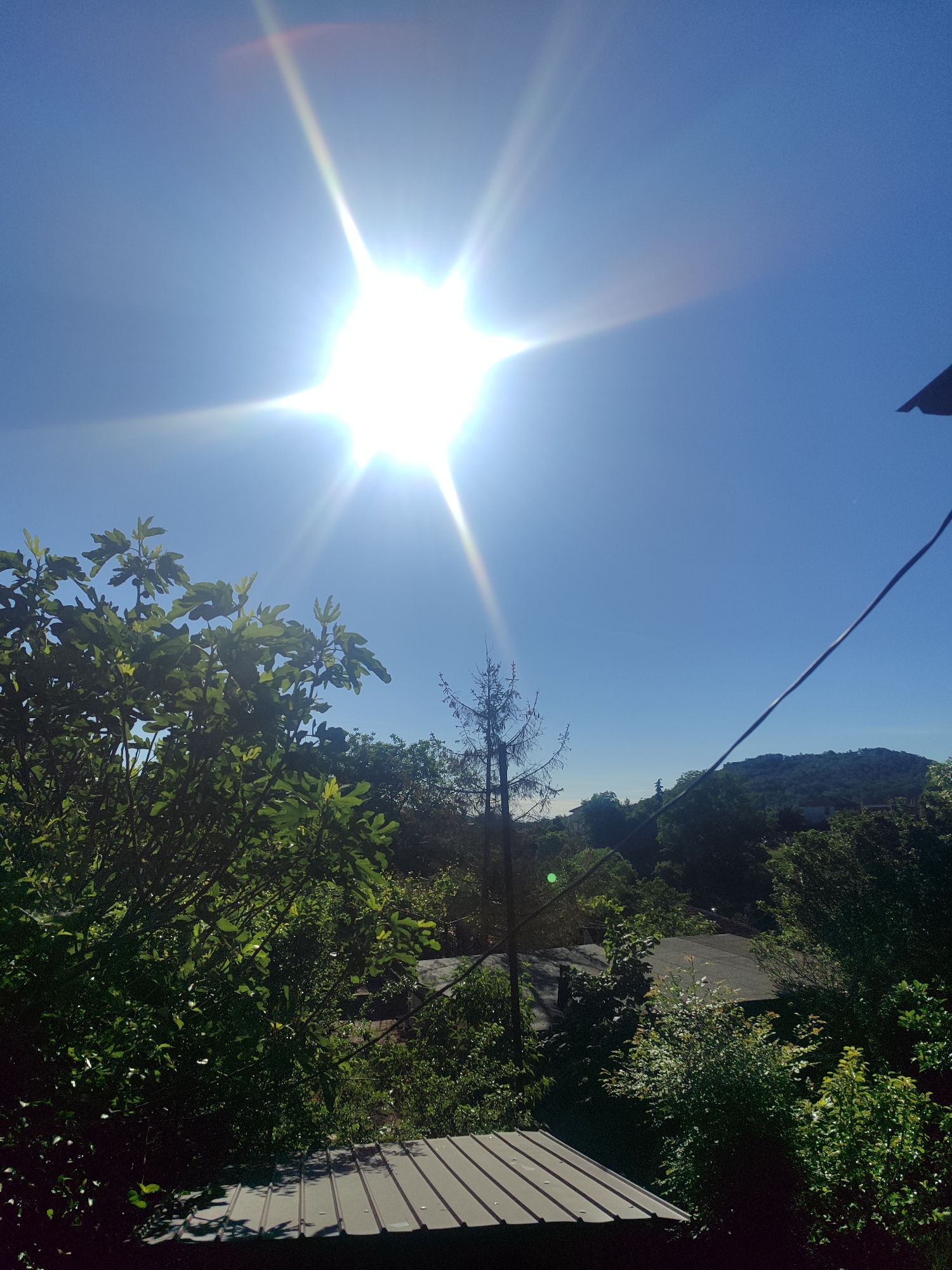 The image presents an outdoor scene in Varshilo, Bulgaria on a sunny day. A bright sun dominates the upper portion of the frame against a clear, blue sky. Below, lush green foliage fills the middle ground, obscuring much of the ground level. A small metal roof is visible in the lower part of the image. A powerline is visible to the right of the frame. In the distance, a gently rolling hill is visible behind the trees. There are no people visible in the image.