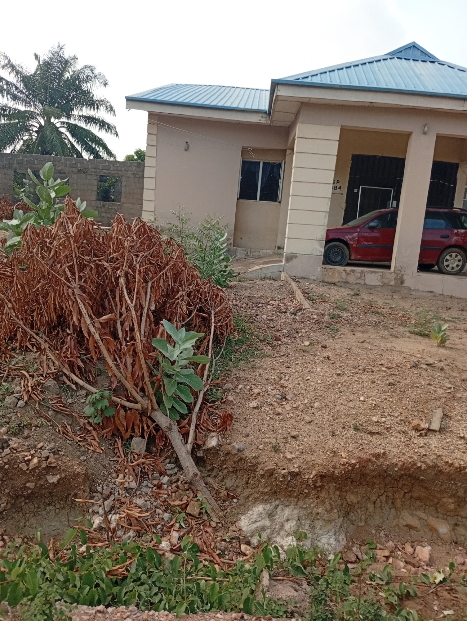 The scene depicts a single-story building with a blue roof located in Adankolo, Nigeria. A red car is partially visible under a carport-like extension of the building. The foreground features a dry, sandy terrain with sparse vegetation, including a large, mostly dead shrub with some green leaves. A shallow excavation exposes the soil profile. In the background, a palm tree and a partially constructed brick wall are visible. There are no people present in the image.