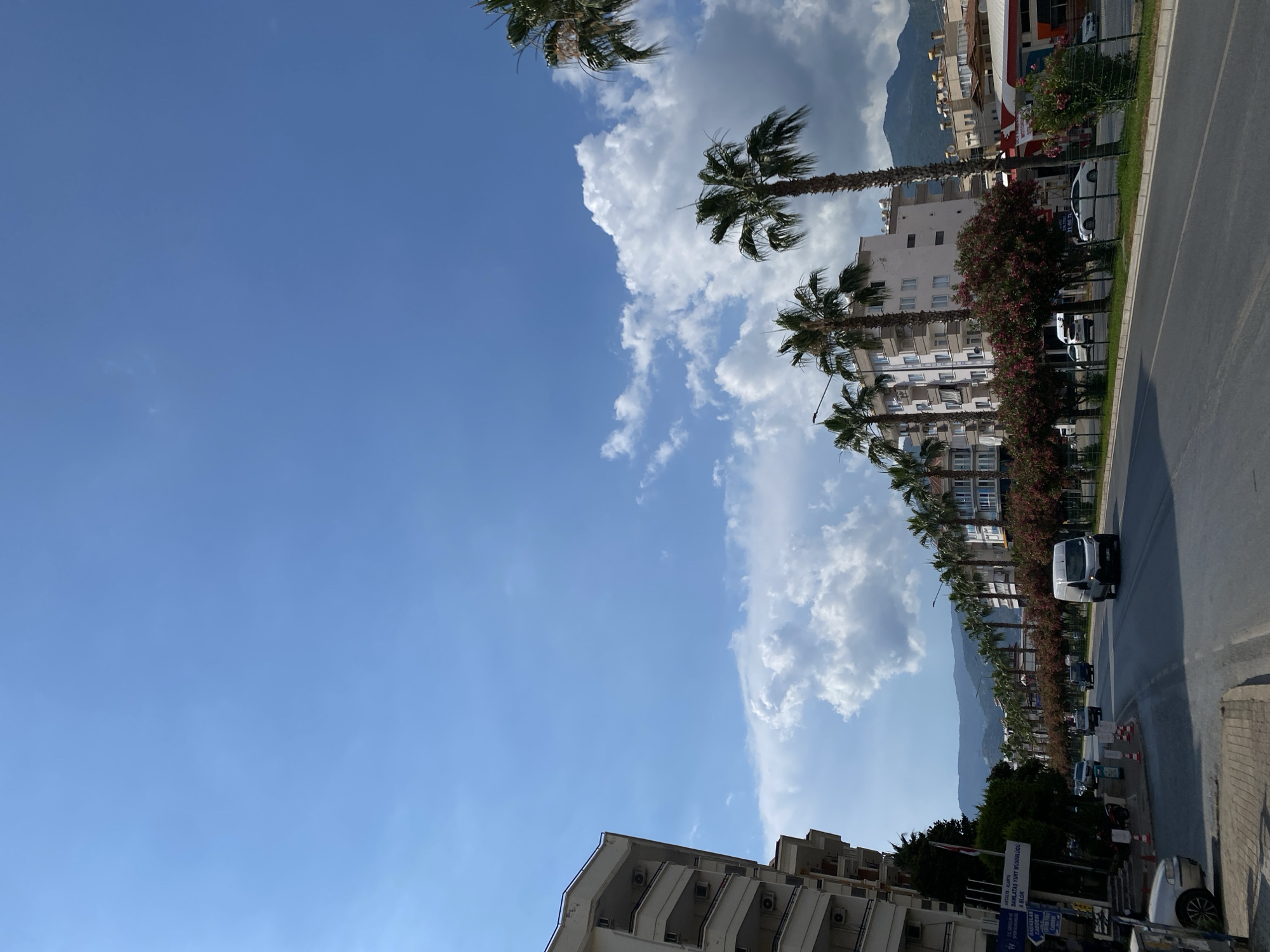 The image shows a street scene in Alanya, Turkey, likely on a warm, sunny day with some clouds. The perspective is from the side of the road, looking down a wide avenue lined with palm trees and multi-story buildings.
On the left side of the street, there is a white apartment building with balconies and air conditioning units visible. A street sign is also present, indicating directions to "İSTASYON MAHALLESİ", "DAMLA", and "B BLOK". Several cars are parked along the sidewalk.
The road itself is paved and appears to be a main thoroughfare, with traffic cones placed along the lanes. A white van is driving in the right lane, and other vehicles are visible further down the road.
On the right side of the street, a line of palm trees forms a median or sidewalk planting. Behind the trees, there are more apartment buildings and some commercial establishments, including what appears to be a gas station or a shop with a red awning. Lush green foliage and pink-flowering trees line the roadside. In the background, mountains are visible under a bright blue sky with scattered white clouds.
The overall impression is a vibrant urban environment with a tropical or Mediterranean feel, typical of a coastal city like Alanya.