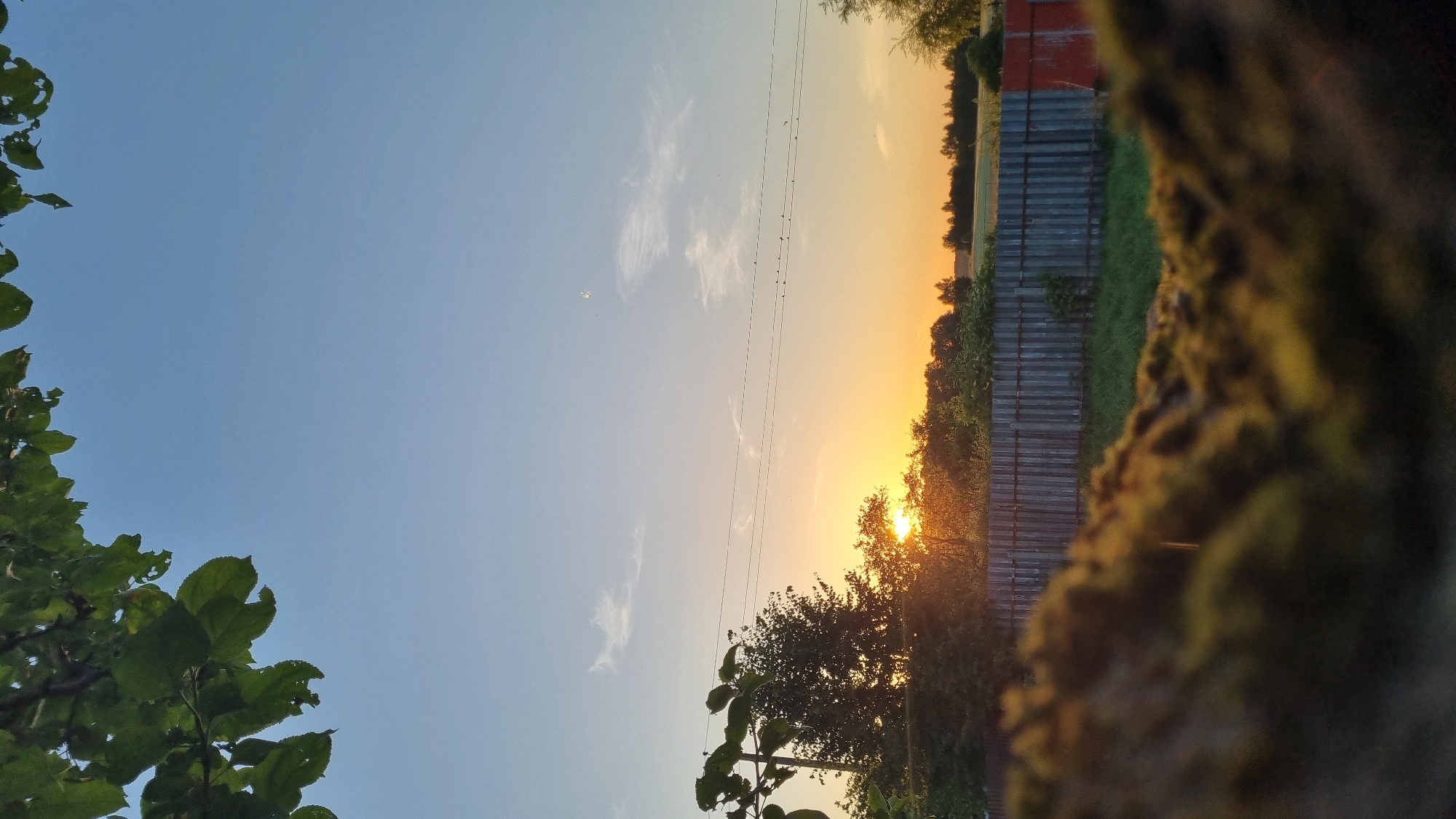 A vertical, low-angle shot captures a rural scene in Vysokoe, Russia, as the sun sets. In the foreground, a blurred, moss-covered surface creates a dark, earthy frame. Beyond this, a weathered, wooden fence runs horizontally across the middle ground. Behind the fence, a line of trees is silhouetted against the warm glow of the setting sun, which is partially obscured by foliage. The sky above is a clear, pale blue, transitioning to a soft orange near the horizon, with a few wispy clouds. Several power lines stretch across the sky, with small birds perched on them. A faint, crescent-shaped object, possibly the moon or a bright celestial body, is visible in the upper right quadrant of the sky. The overall impression is one of tranquil twilight in a rural setting.