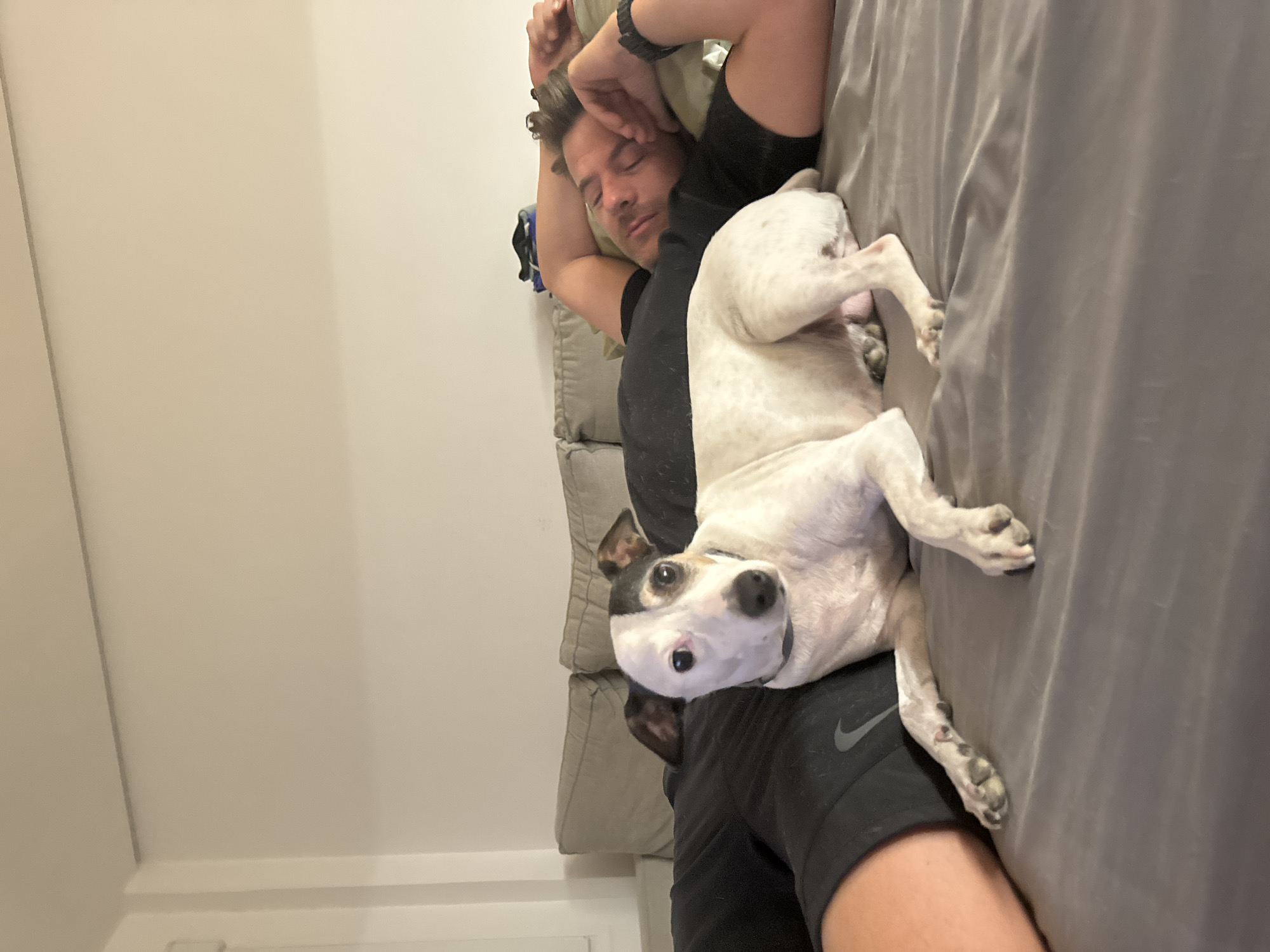 A man is asleep on a bed, with a small dog lying on top of him. The man is wearing a black t-shirt and black shorts. The dog is white with black markings on its face and ears. The bed appears to be in a bedroom, with a wall and a couch visible in the background. The lighting suggests it is either daytime or the room is well-lit. The image is taken from a slightly high angle, looking down at the man and dog. There are no clear indicators of the location being specifically in the city of Murcia, Spain.