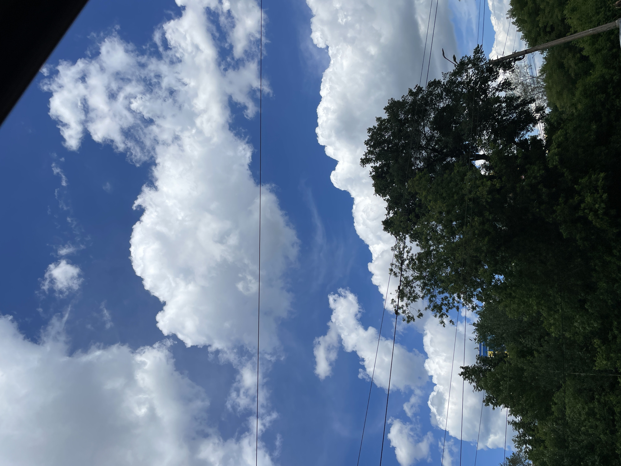 The image captures a view of the sky above a line of trees and utility wires. The sky is a vibrant blue, dotted with fluffy white cumulus clouds. In the foreground, a dense canopy of green trees partially obscures the view, with power lines running horizontally across the frame. A wooden utility pole with two lights is visible on the right side, also partially obscured by foliage. There are no people or animals visible in the scene. The image appears to be taken from a ground-level perspective, possibly from a street or park. The location is not specified in the image or its context, and therefore cannot be identified as being in the city of Izhevsk, Russia.