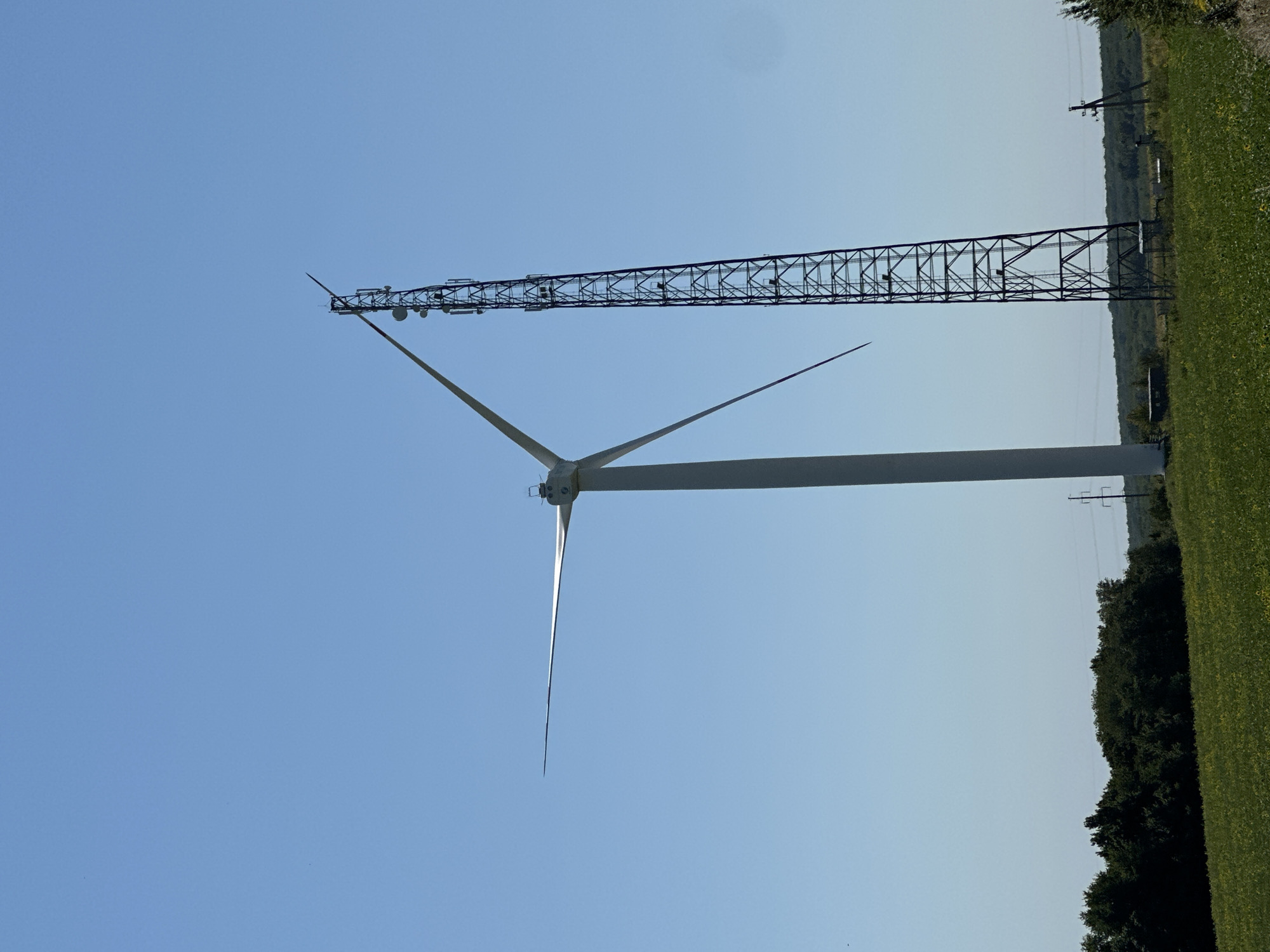 In the city of Korchivka, Ukraine, a white wind turbine with three blades stands tall against a clear blue sky. To its right, a lattice tower, used for telecommunications, is adorned with various antennas and equipment. The base of the wind turbine is surrounded by a field of green grass dotted with yellow flowers. In the background, a line of dark green trees forms a dense forest, with power lines and poles visible in the distance. The scene is bathed in bright daylight, suggesting a warm, clear day.