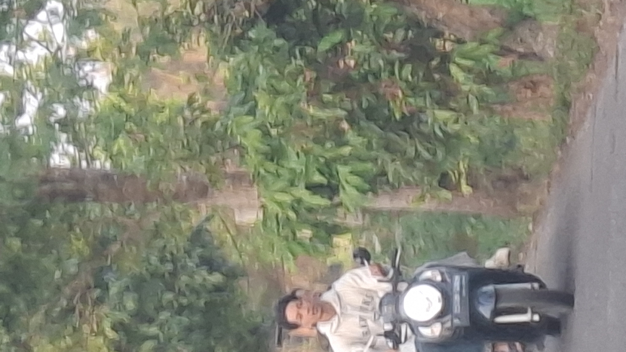In Cibinong Hilir, Indonesia, a young man is riding a dark-colored scooter down a paved road lined with trees and foliage. The man is wearing a light-colored hooded sweatshirt and appears to be looking forward as he rides. The scooter has a prominent circular headlight. The overall scene suggests a rural or suburban setting with abundant greenery.