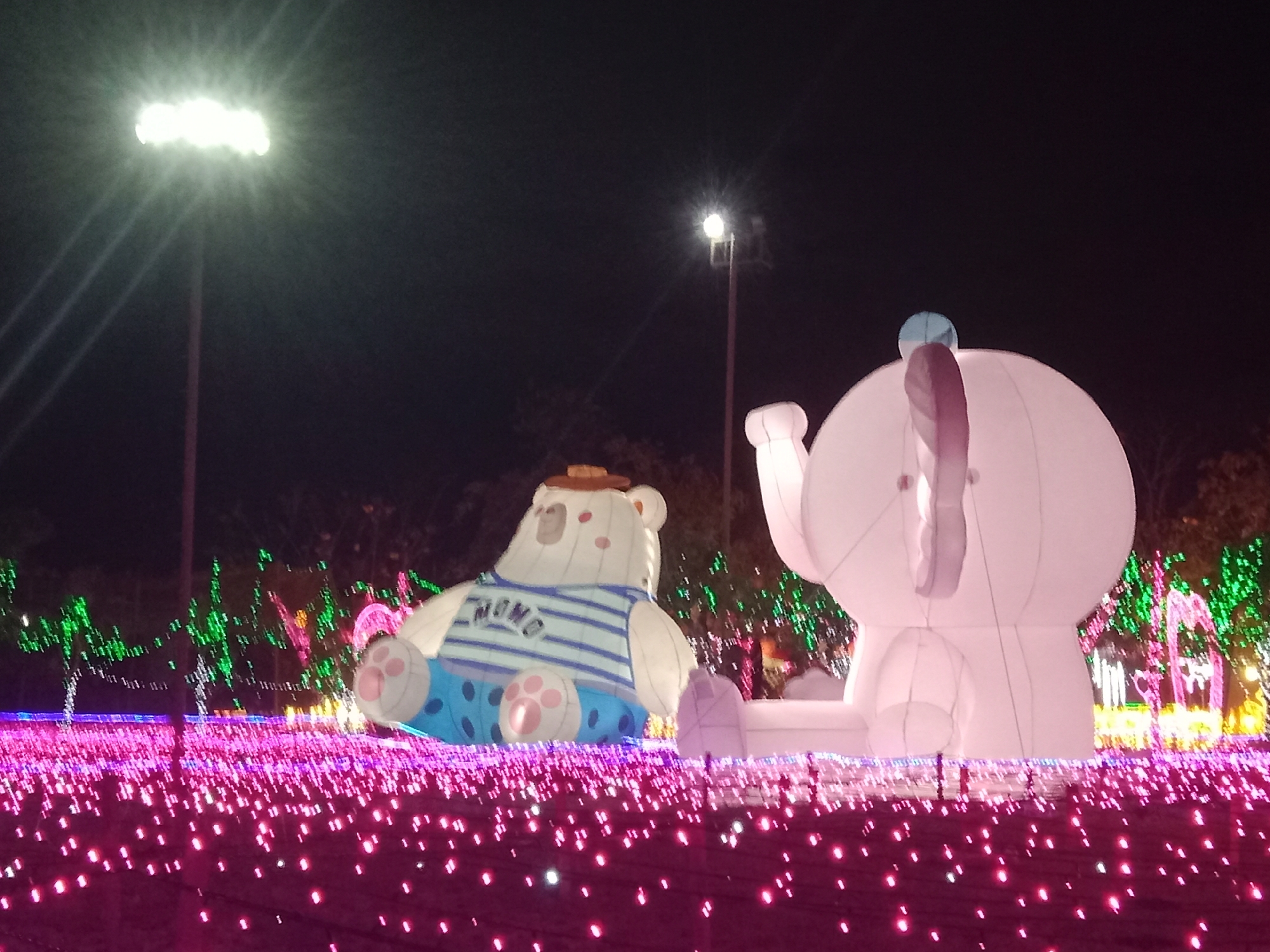 The image depicts a nighttime scene at an outdoor event, likely a festival or light display, possibly located in Probolinggo, Indonesia. In the foreground, a dense carpet of small, bright pink lights stretches across the ground, creating a vibrant, glowing effect. Behind this illuminated field, two large inflatable cartoon characters are prominently displayed. To the left, a white bear character sits, wearing a striped blue shirt with the word "MOMO" in blue lettering, and blue pants with polka dots. It has a brown hat on its head and its paws are visible. To the right, a large white inflatable elephant character stands. The background features trees adorned with strings of green and pink lights, adding to the festive atmosphere. Two tall light poles are visible, one with a bright, diffused light source on the left, and another smaller light pole with a less intense light above and to the right of the elephant. The overall impression is of a cheerful, illuminated public space at night.