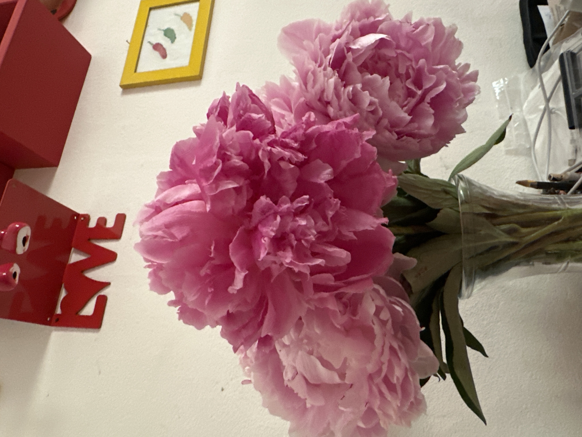 A close-up shot features a bouquet of vibrant pink peonies in a clear glass vase. The flowers are lush and full, with many delicate petals. Behind the peonies, a white wall serves as the backdrop, adorned with two decorative items. On the upper left, a red, three-dimensional word "LOVE" is mounted on the wall. To the right, a small yellow framed picture displays three colorful chili peppers in red, green, and orange. The lighting is soft, highlighting the textures of the flowers and the wall. The image appears to be taken indoors, likely in a domestic setting in Milan, Italy. There are no people visible in the frame.